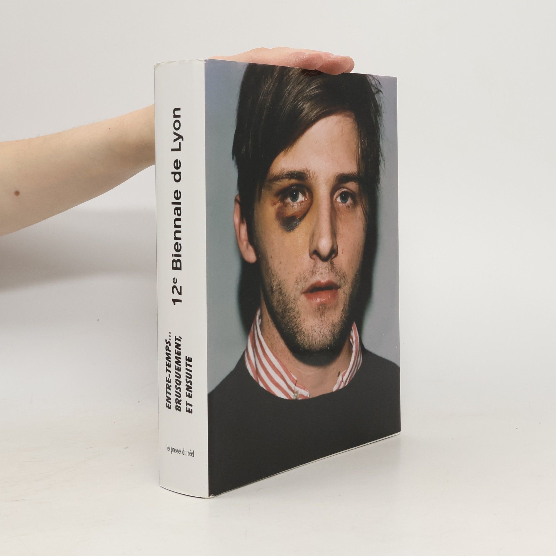 Thierry Raspail Biennale de Lyon - 12: Entre-temps... Brusquement, et ensuite