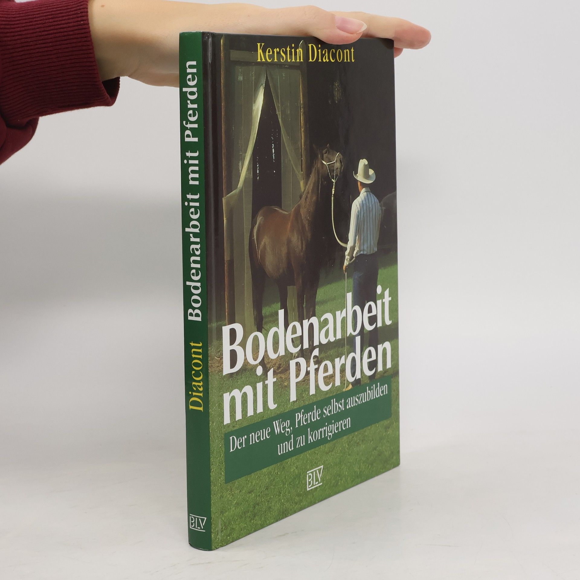 Kerstin Diacont Bodenarbeit mit Pferden