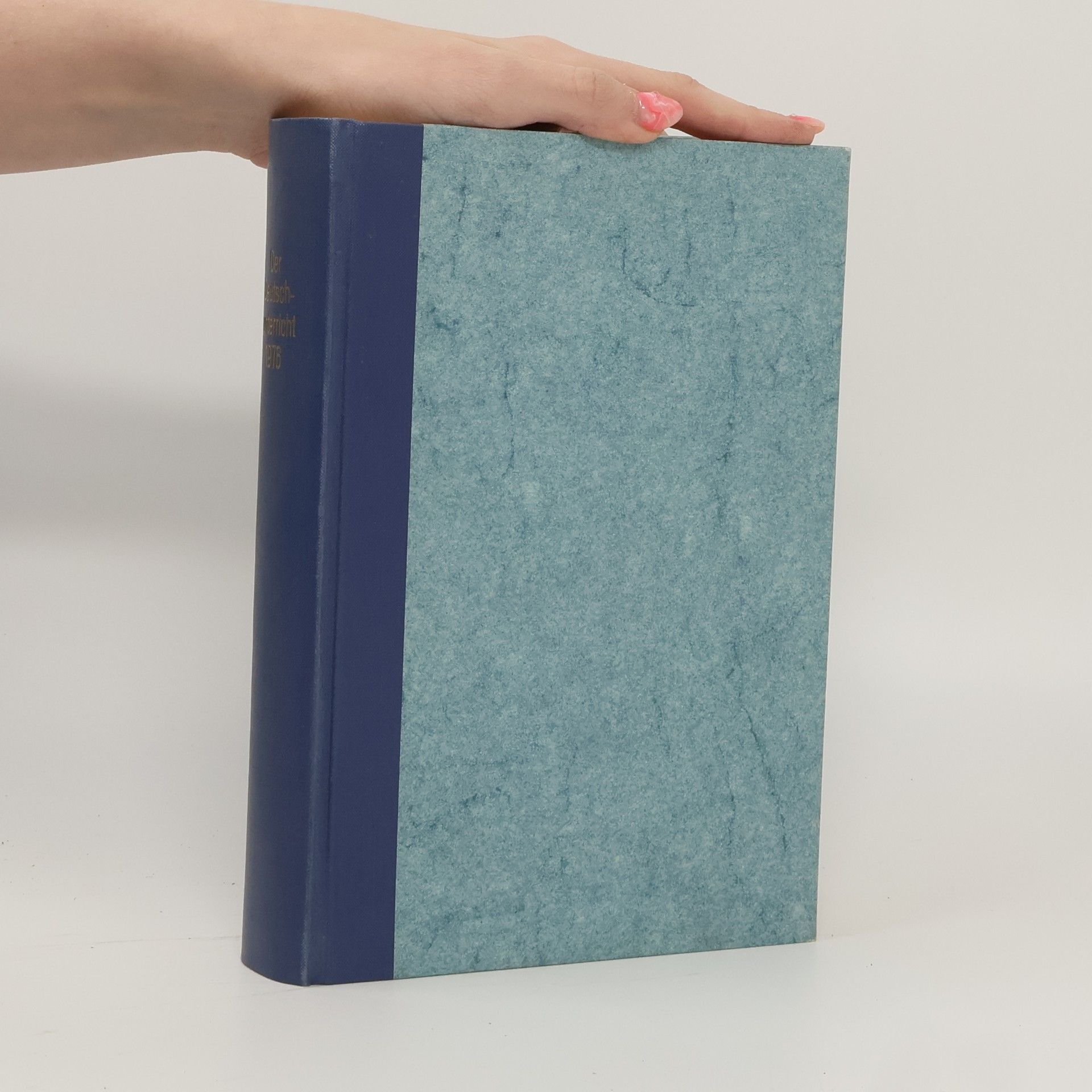 Auteurscollectief Der Deutschunterricht im 5. und 6. Schuljahr