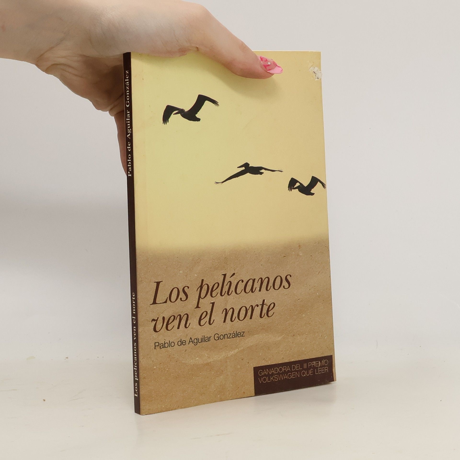 Pablo de Aguilar González Los pelícanos ven el norte