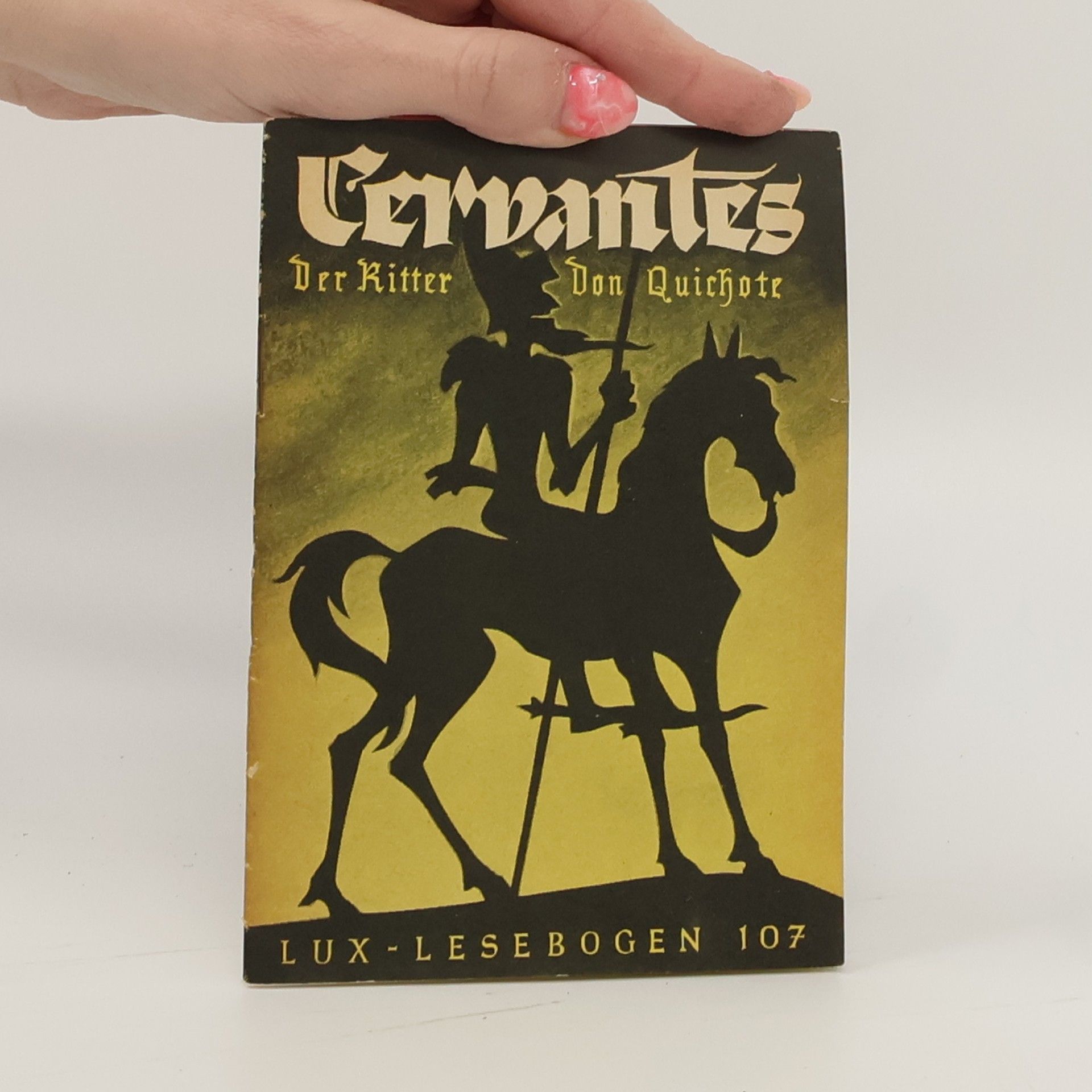 Miguel Cervantes de Saavedra Der Ritter Don Quichote