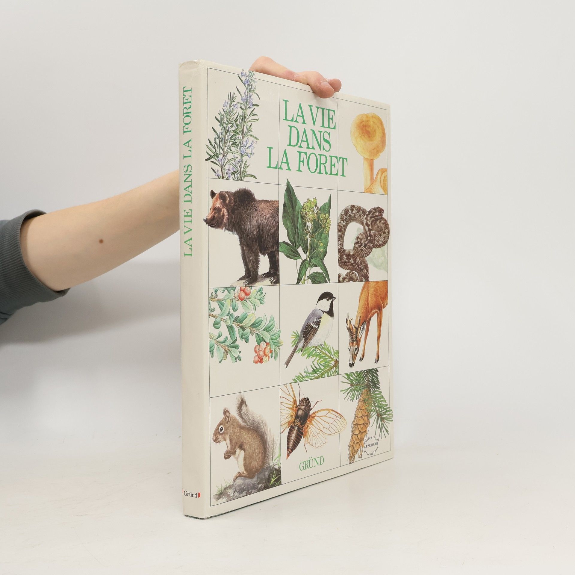 Karel Šťastný La vie dans la foret