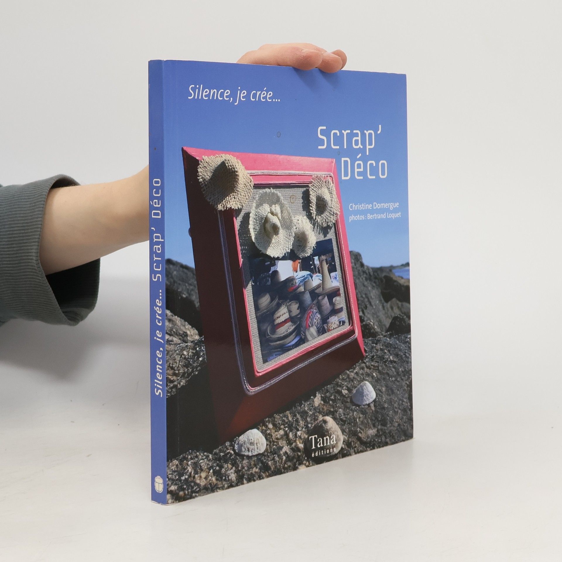 Christine Domergue Scrap'Déco