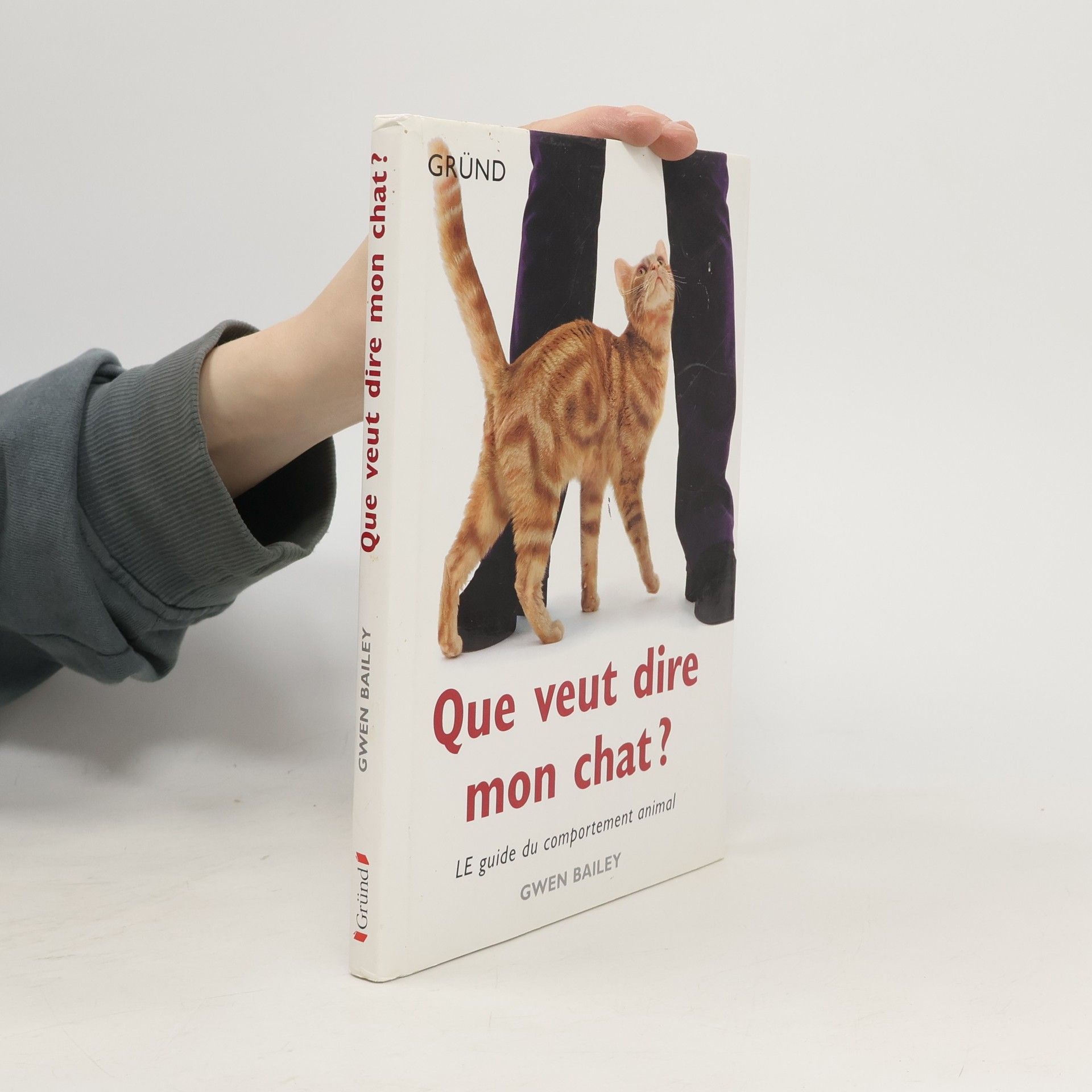 Gwen Bayley Que veut dire mon chat ?