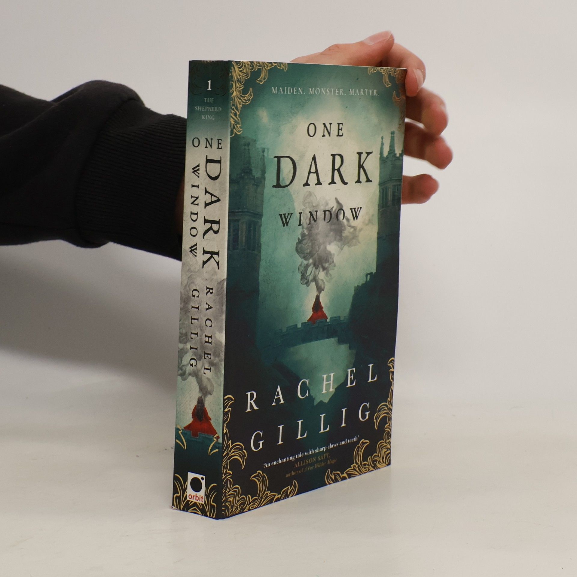 Rachel Gillig One Dark Window