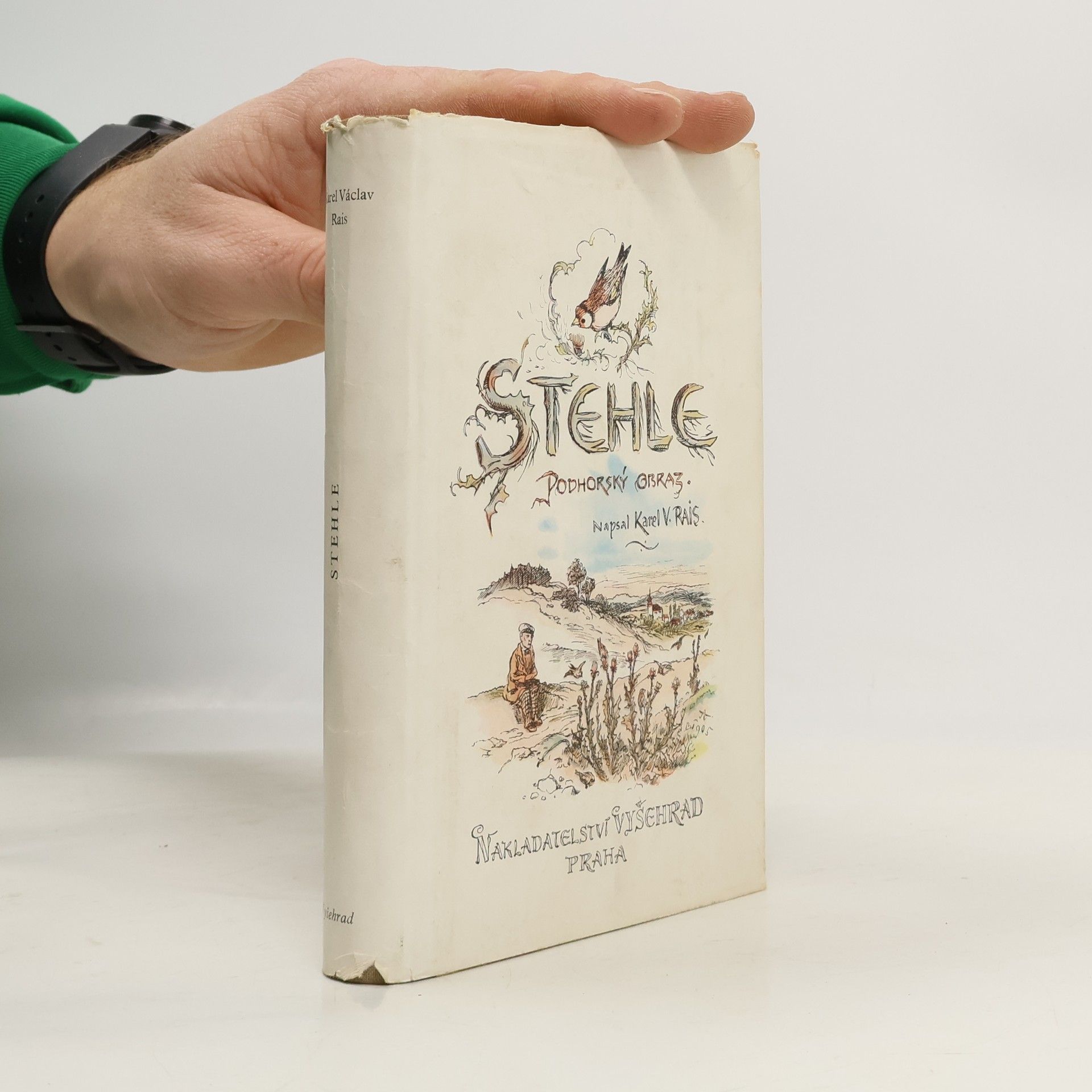 Karel Václav Rais Stehle