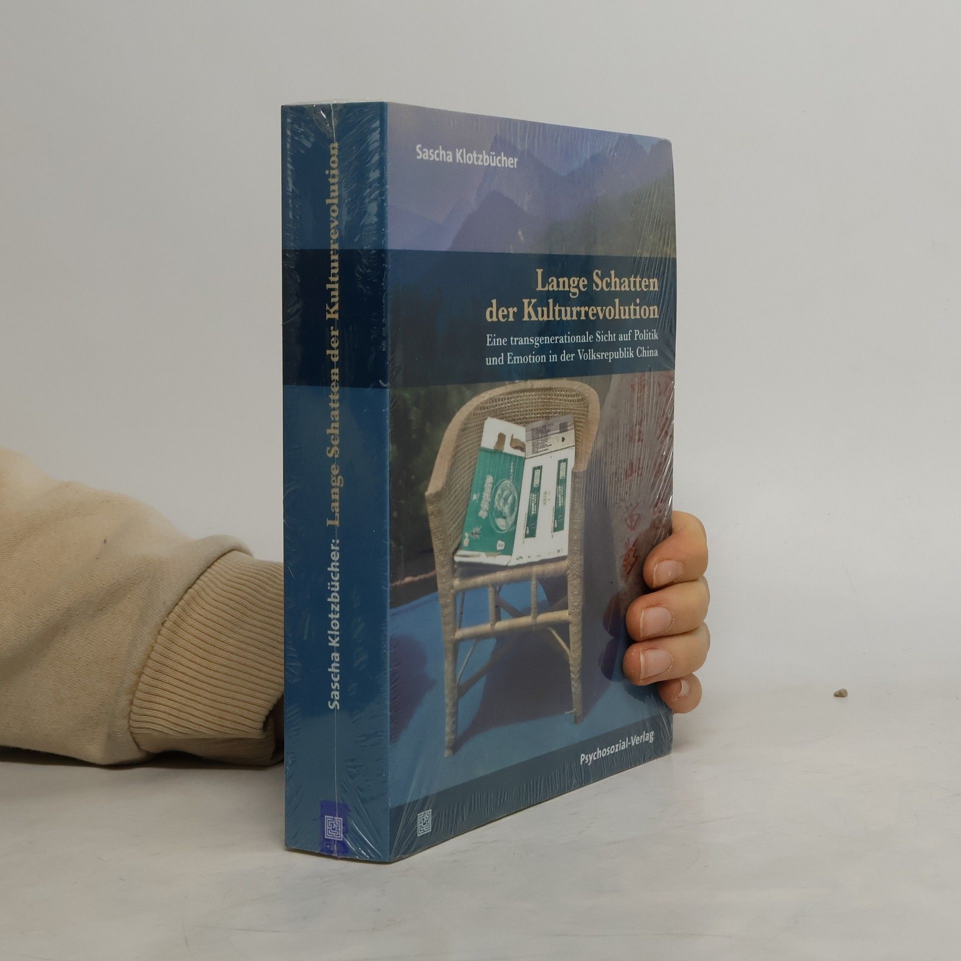 Sascha Klotzbücher Lange Schatten der Kulturrevolution