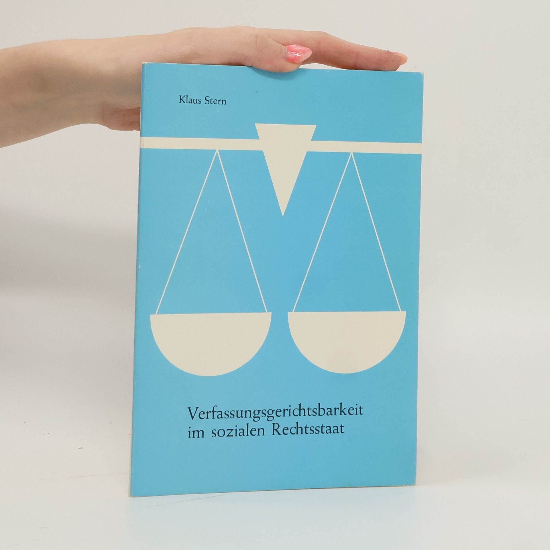 Verfassungsgerichtsbarkeit im sozialen Rechtsstaat