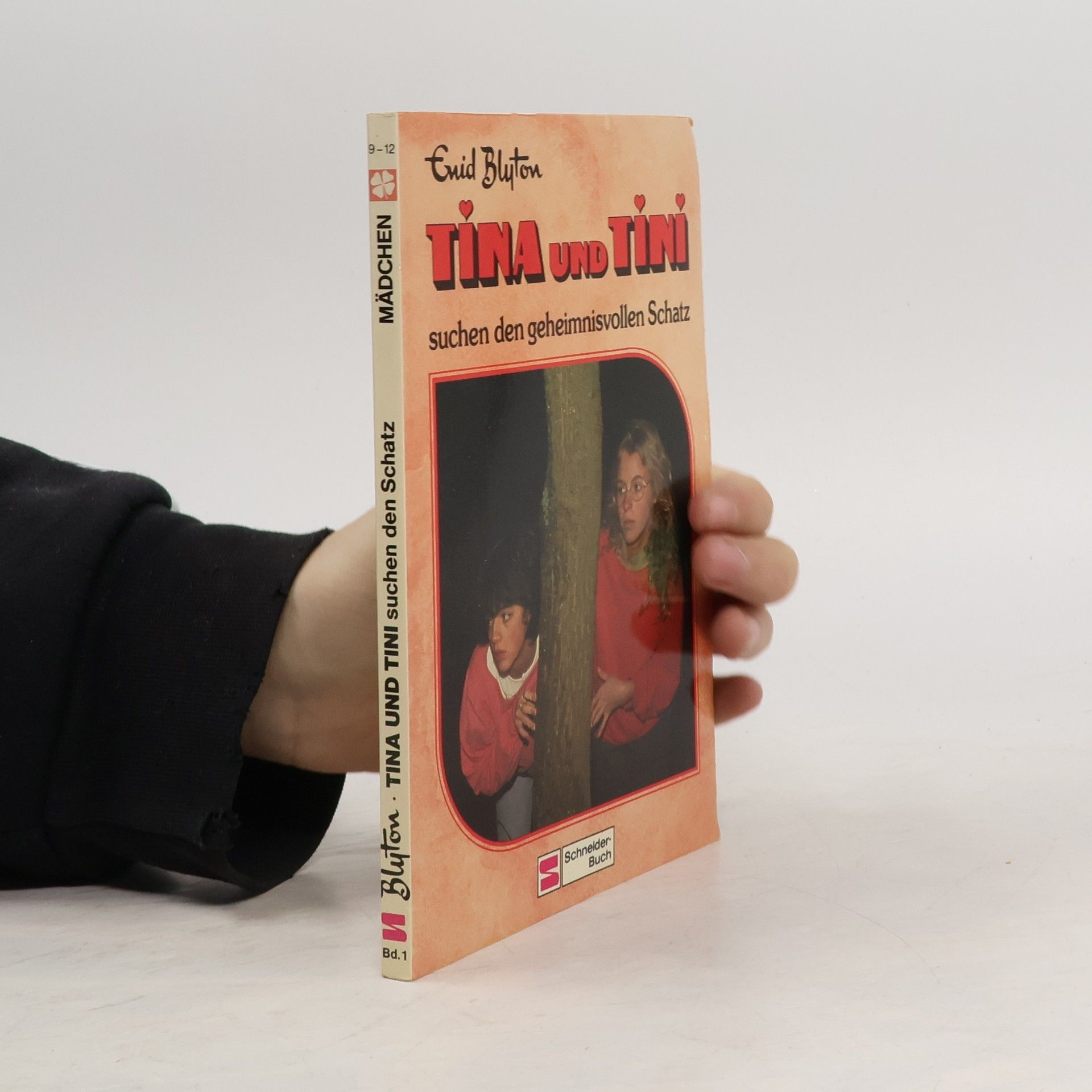 Enid Blyton Mädchen - 1: Tina und Tini suchen den geheimnisvollen Schatz