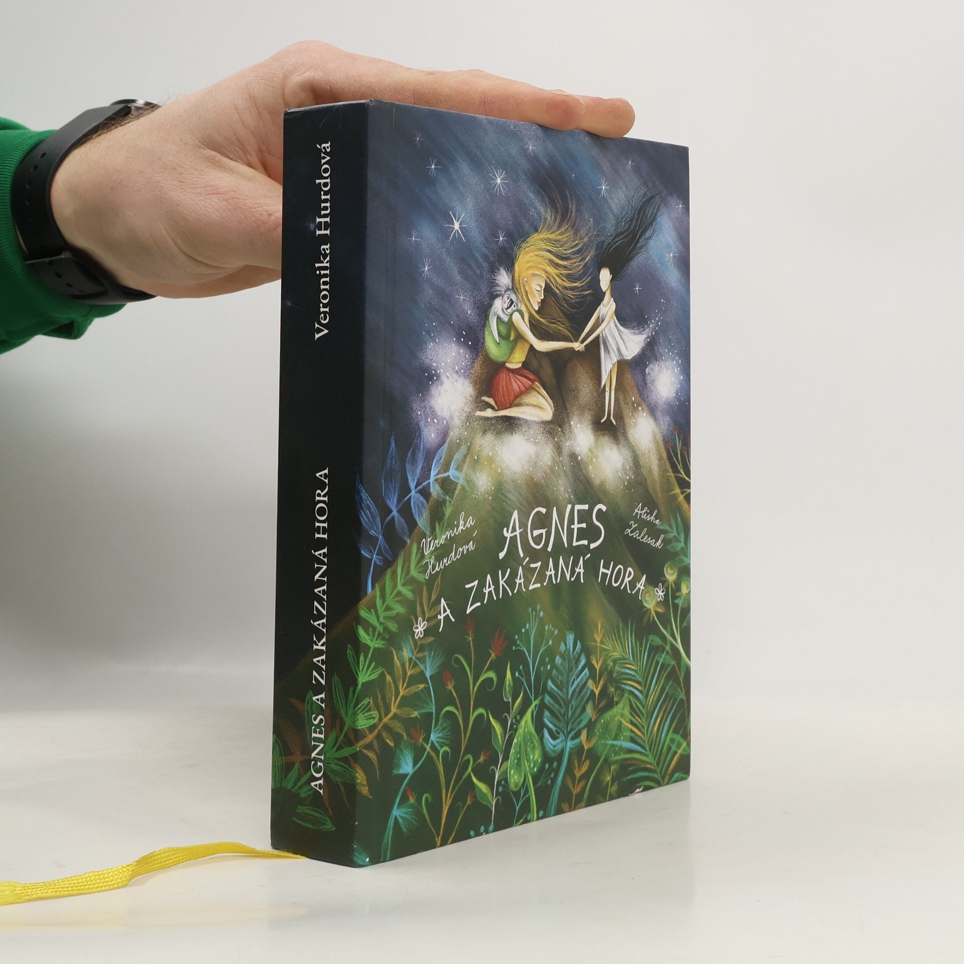 Veronika Hájek Hurdová Agnes a Zakázaná hora