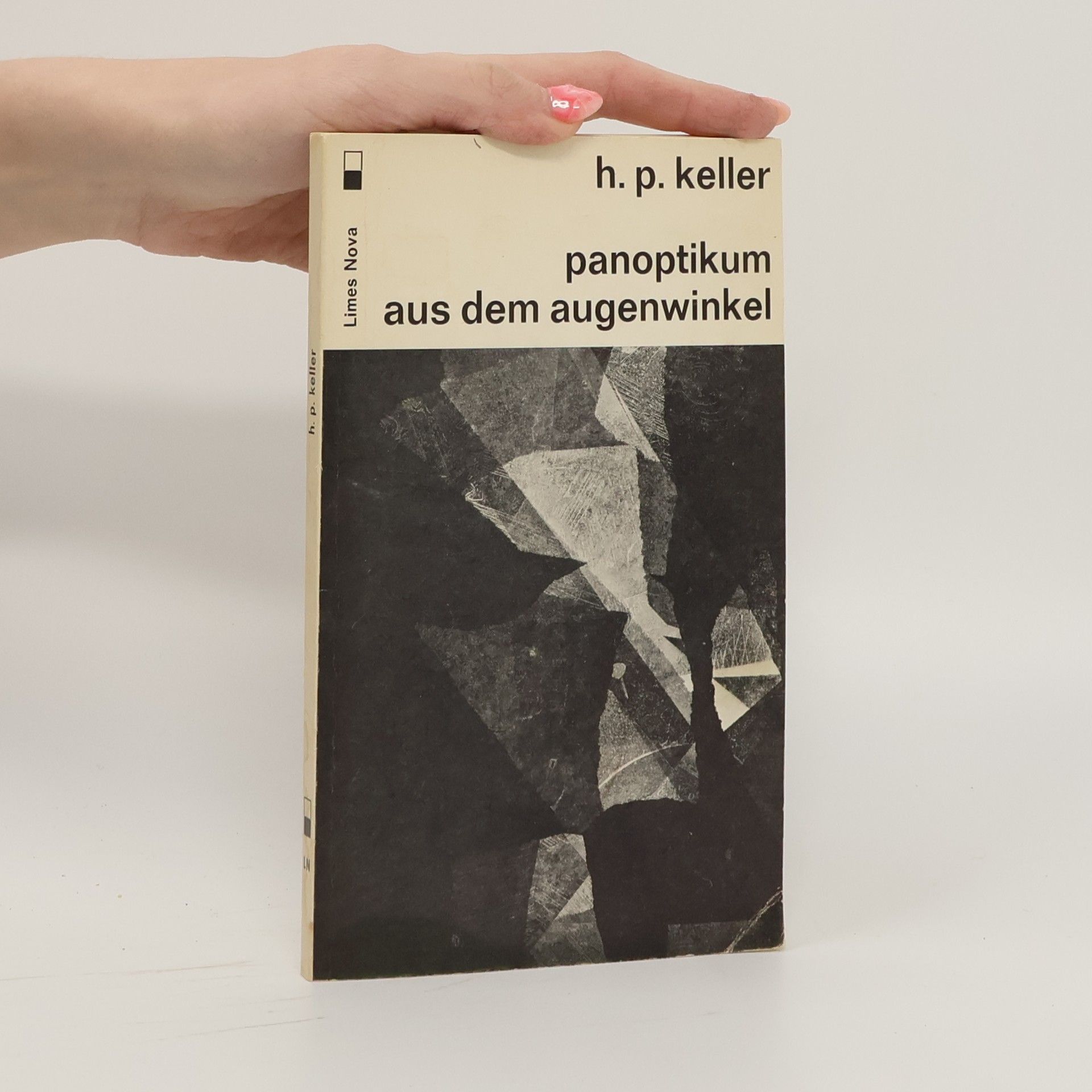 Hans Peter Keller Panoptikum aus dem Augenwinkel