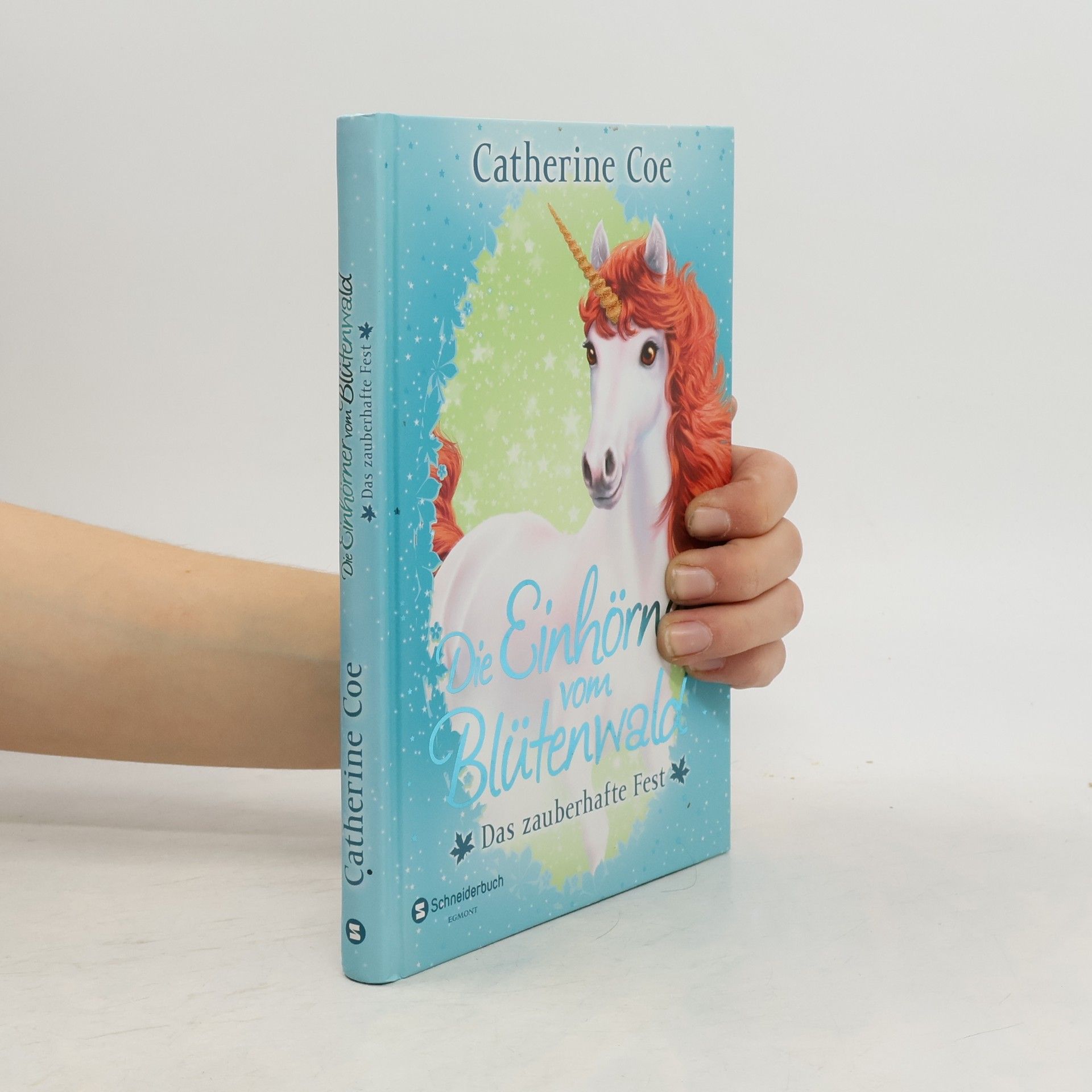 Das zauberhafte Fest