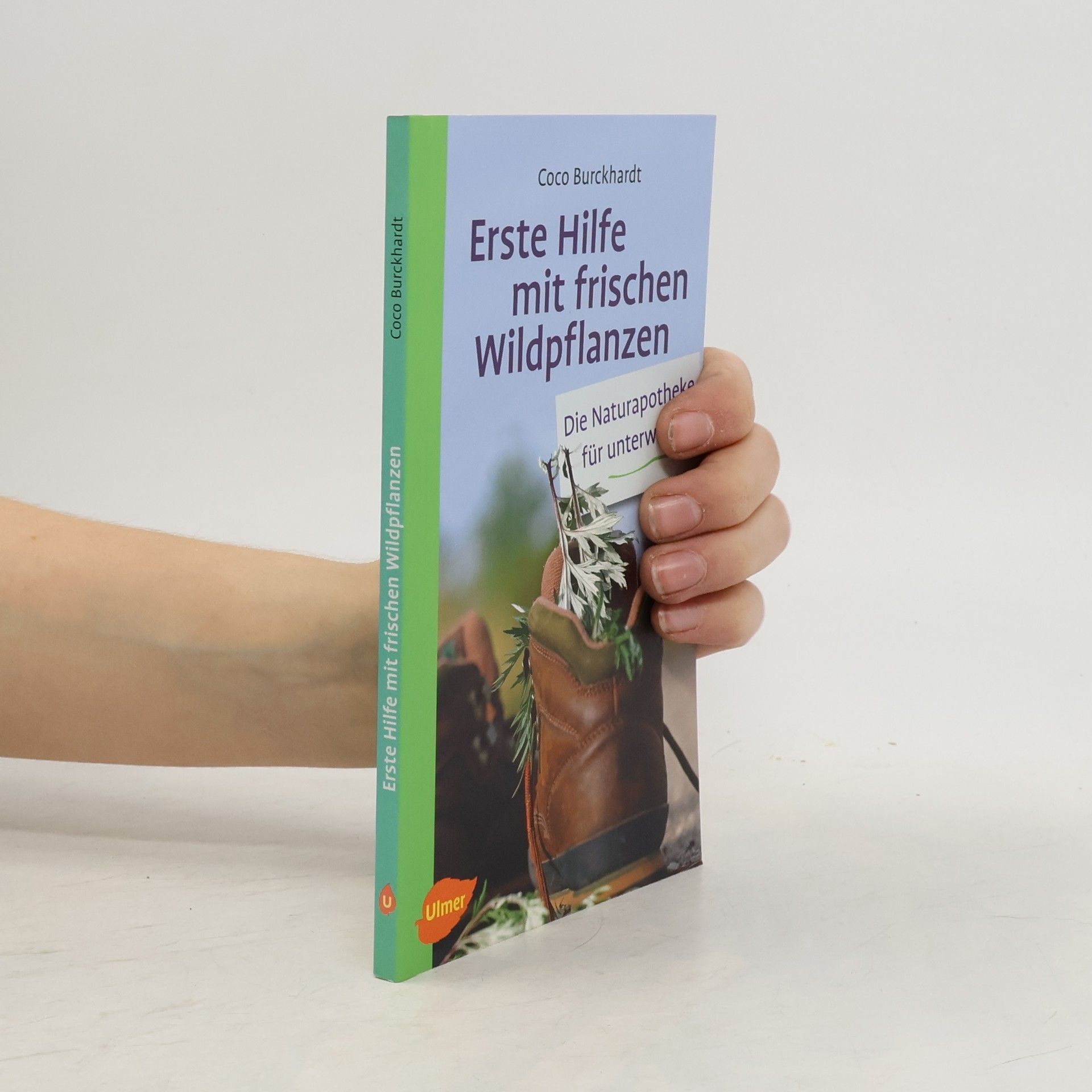 Coco Burckhardt Erste Hilfe mit frischen Wildpflanzen