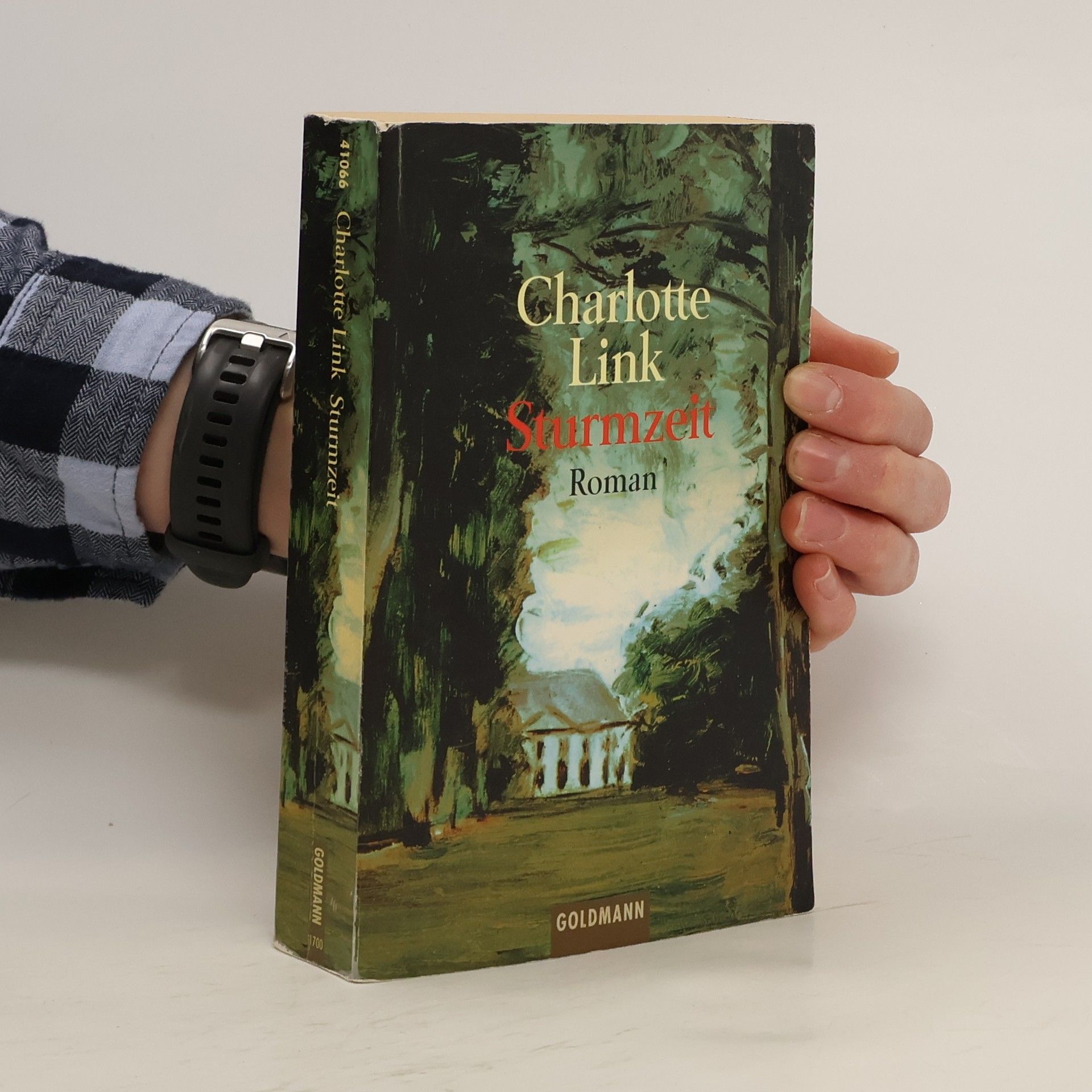 Charlotte Link Sturmzeit