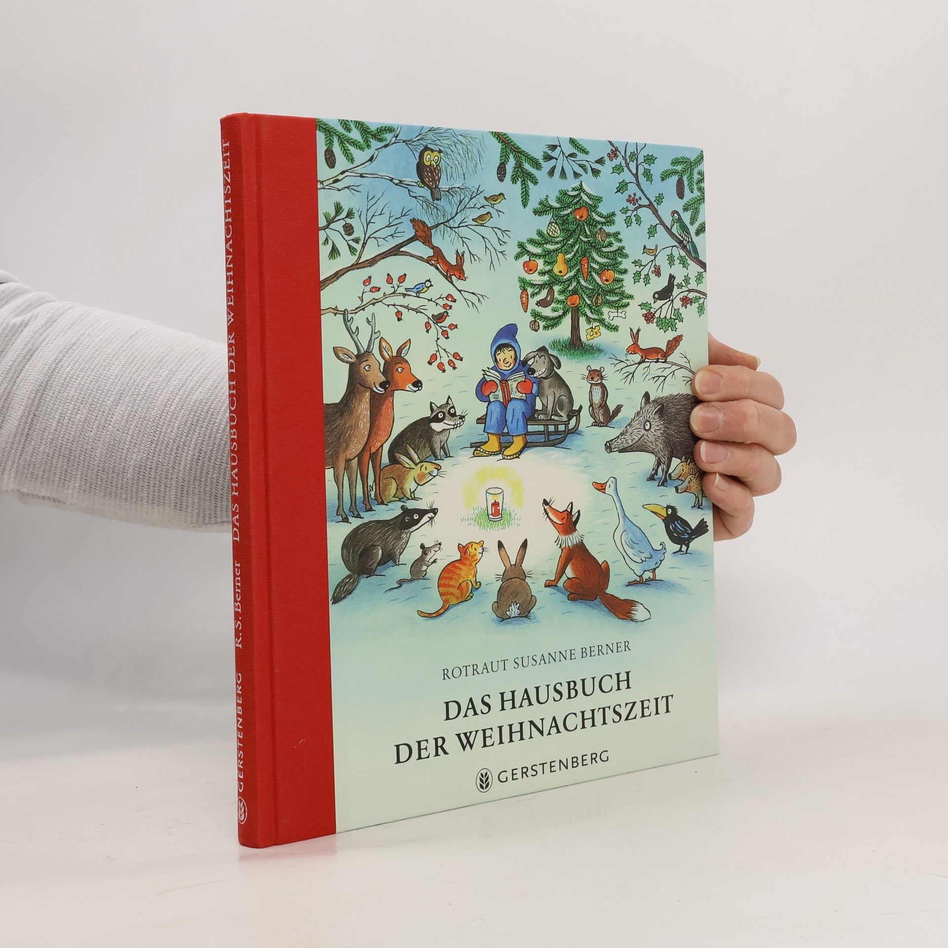 Rotraut Susanne Berner Das Hausbuch der Weihnachtszeit