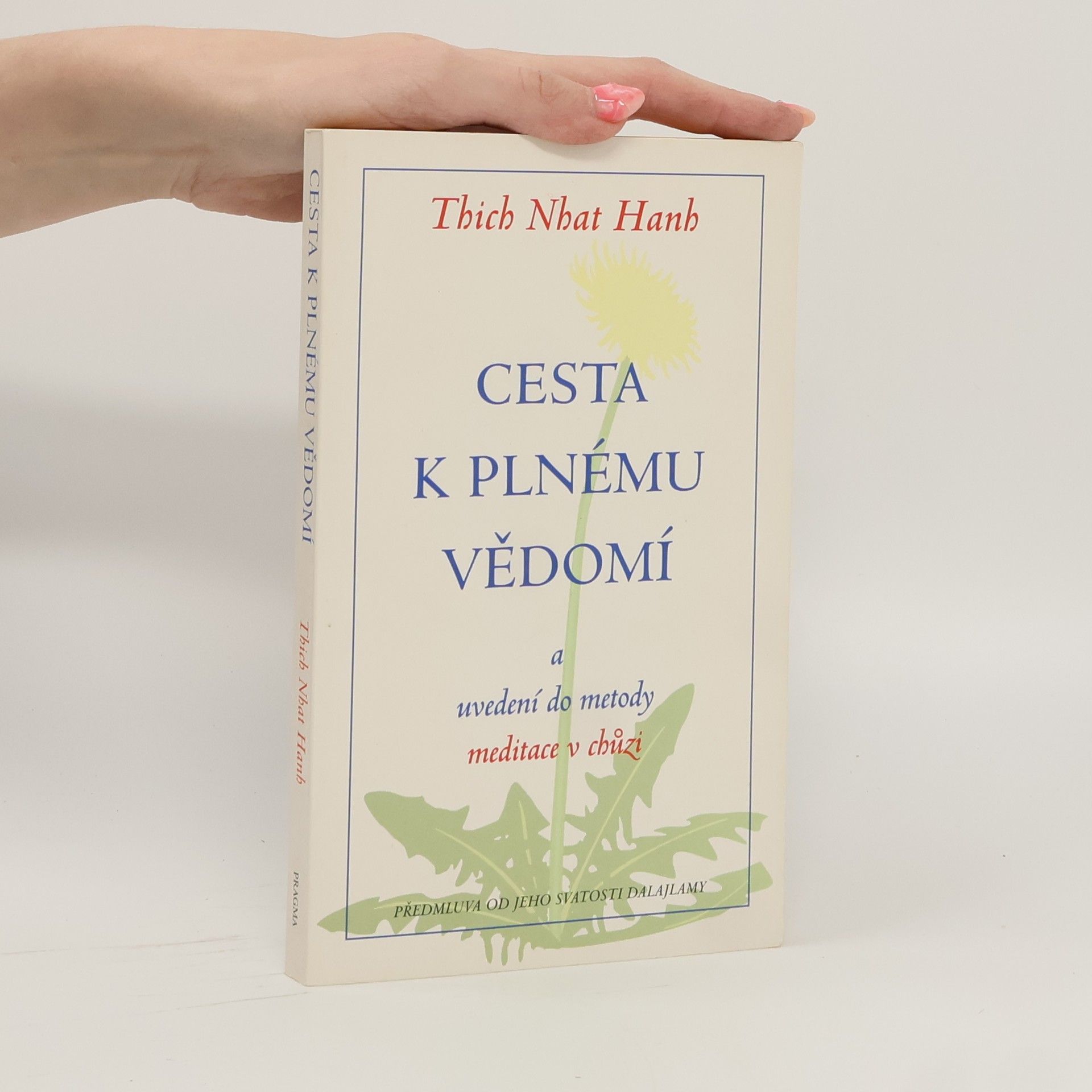 Otto Jeřábek Cesta k plnému vědomí a uvedení do metody meditace v chůzi