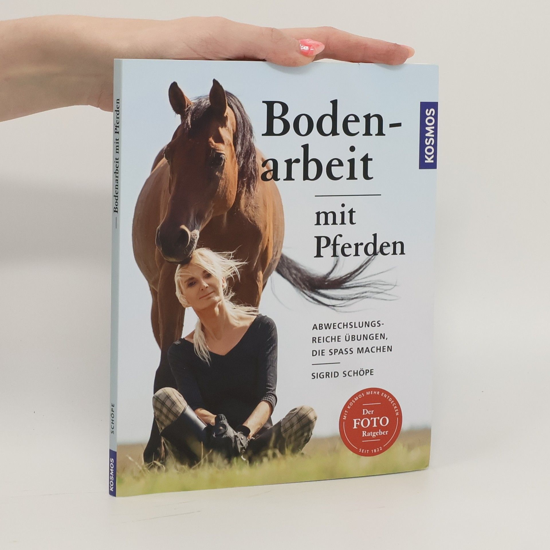 Sigrid Schöpe Bodenarbeit mit Pferden