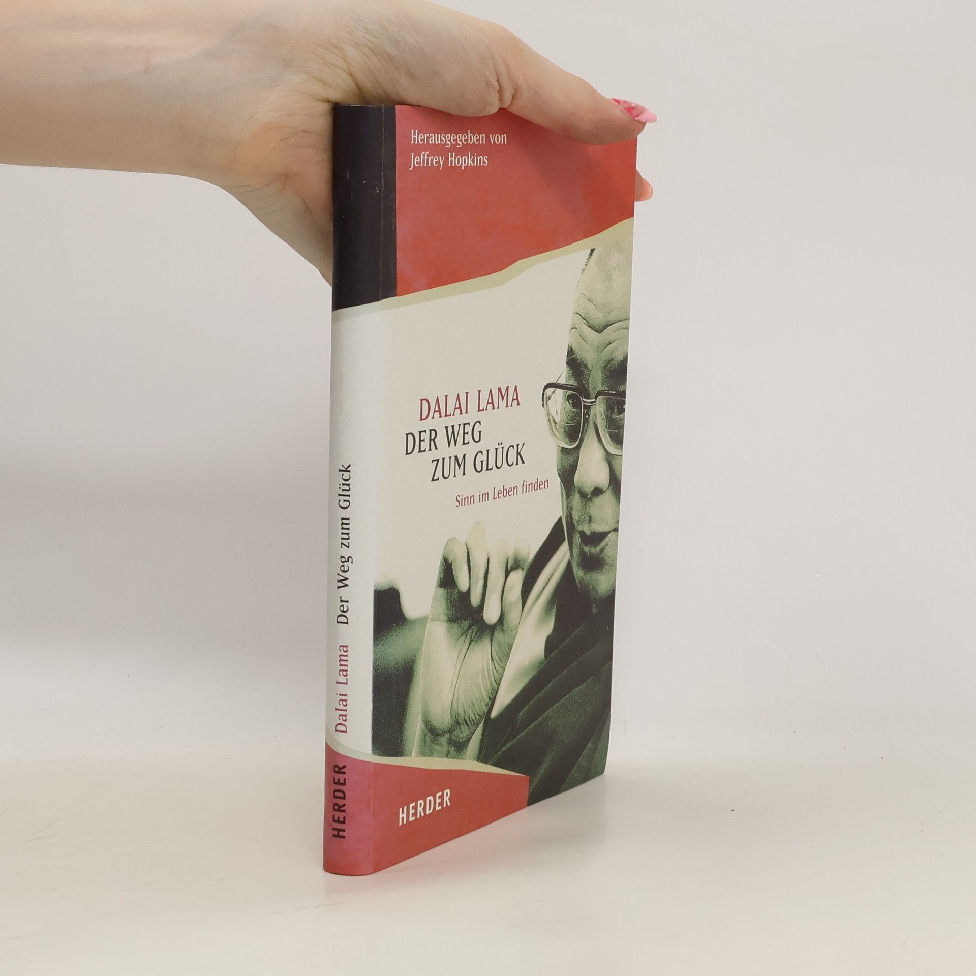 Bstan-vdzin-rgya-mtsho Der Weg zum Glück