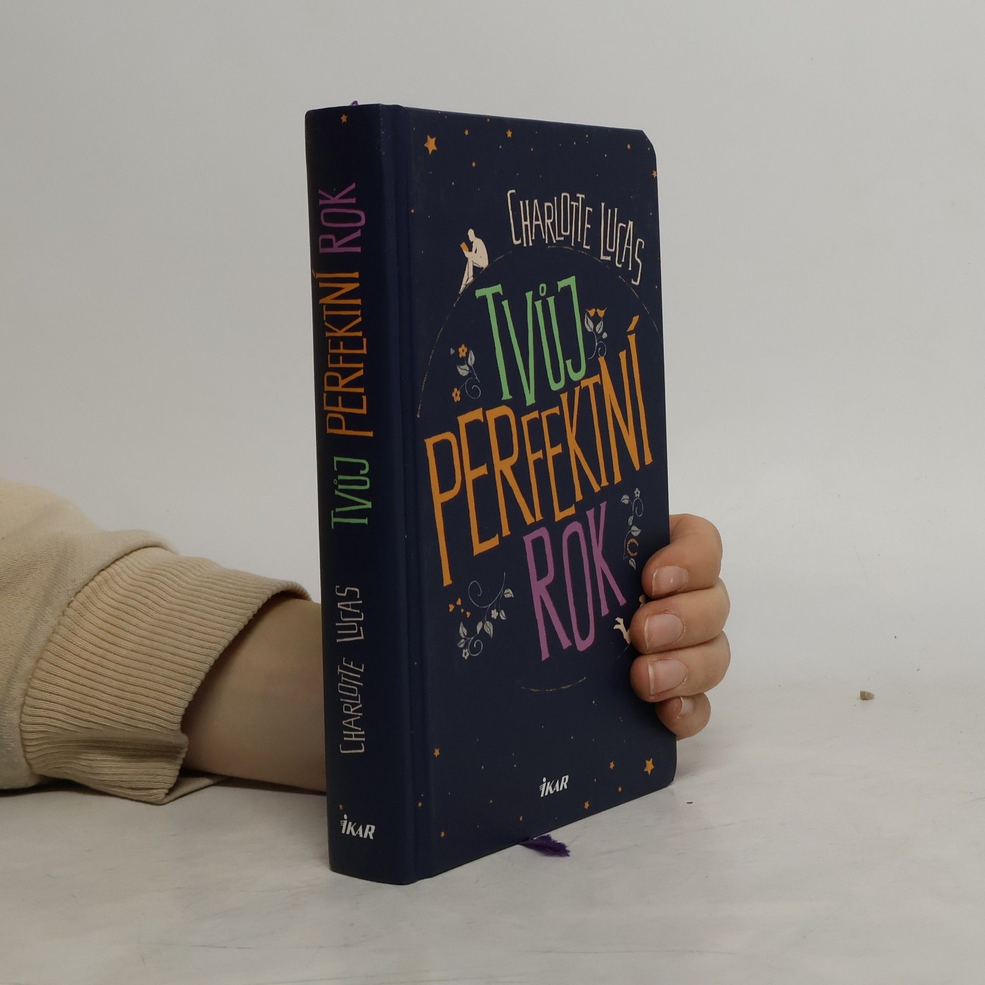 Charlotte Lucas Tvůj perfektní rok