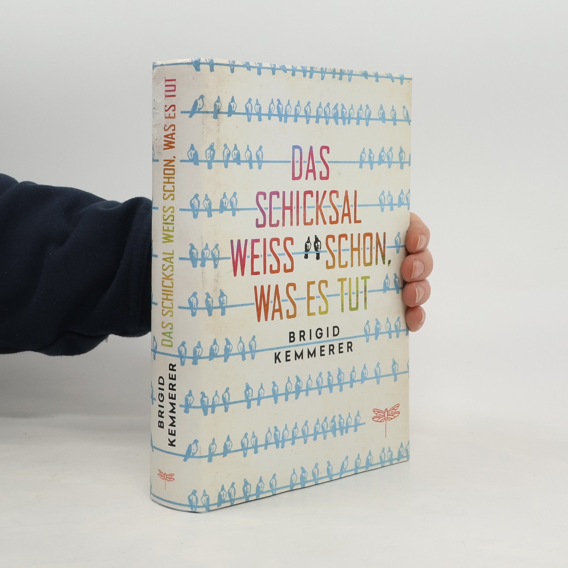 Brigid Kemmerer Das Schicksal weiß schon, was es tut