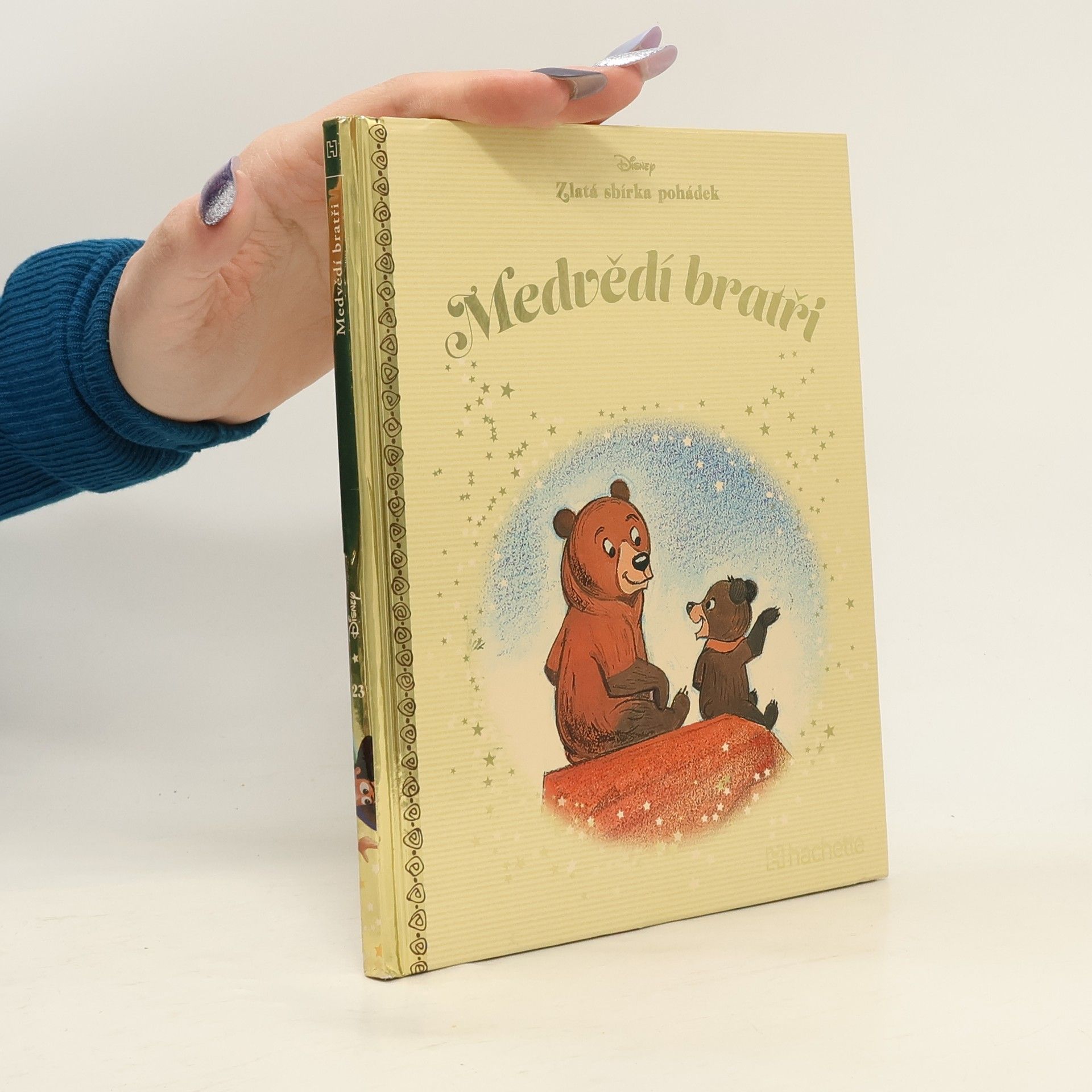 Autorenkollektiv Medvědí bratři