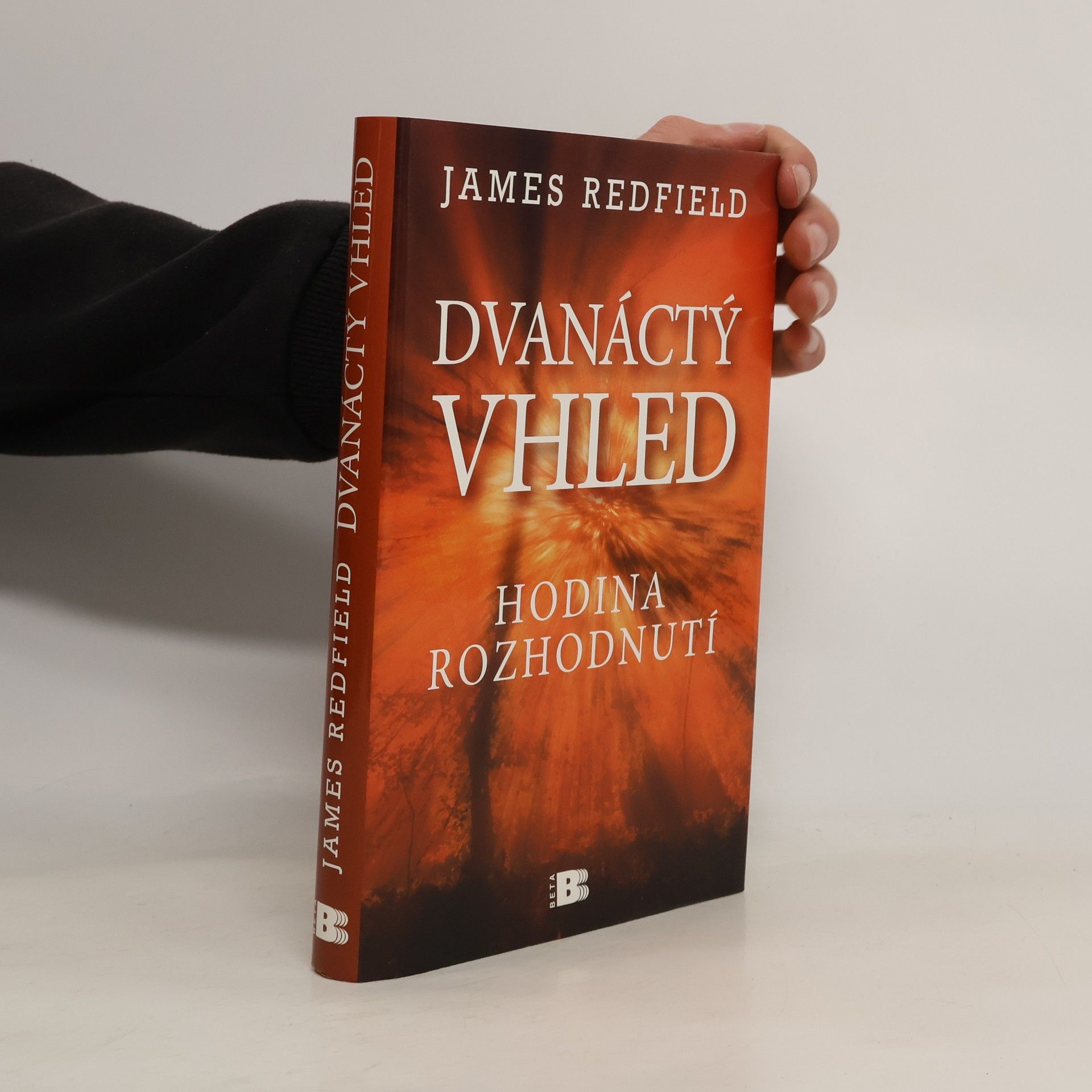 James Redfield Dvanáctý vhled