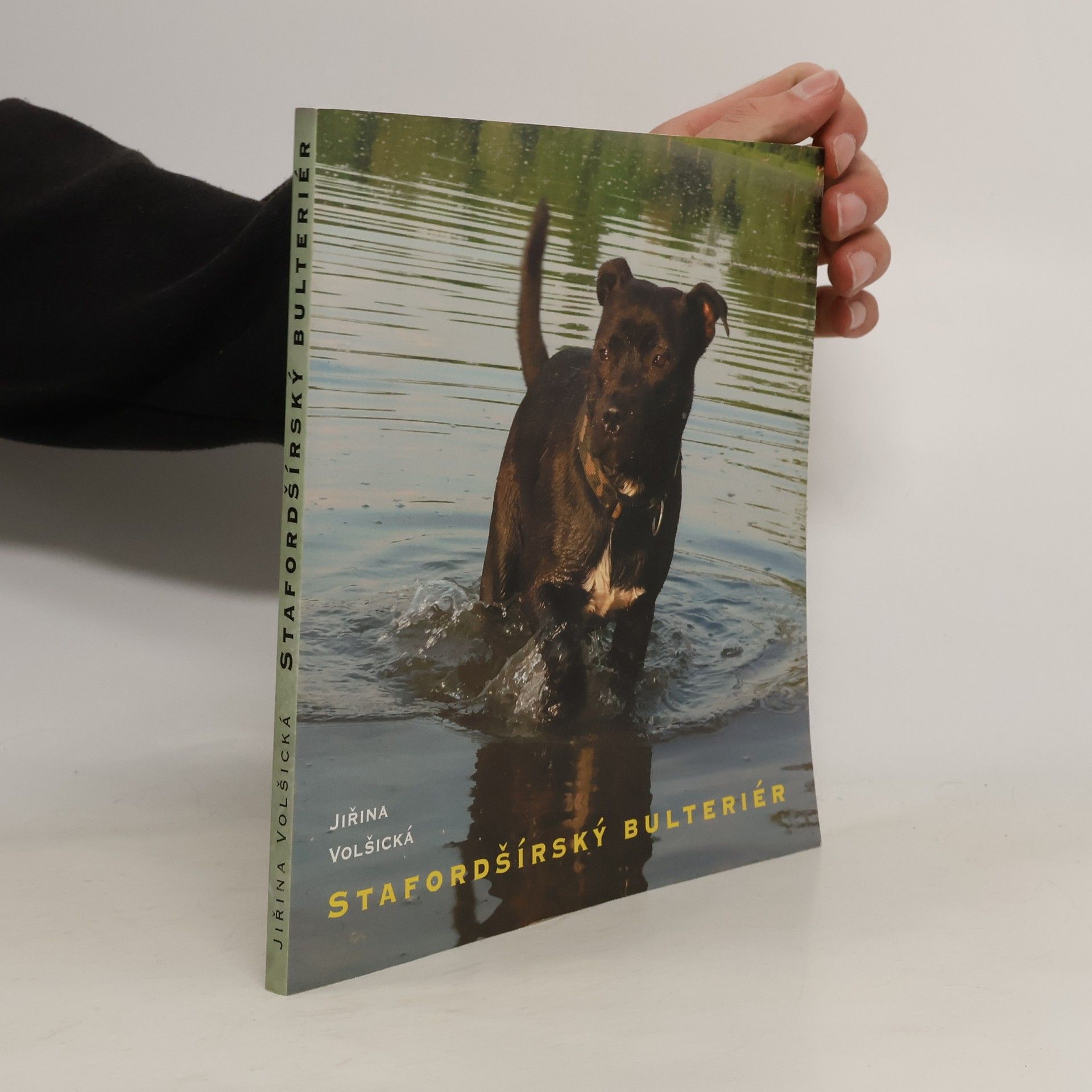 Jiřina Volšická Stafordšírský bulteriér