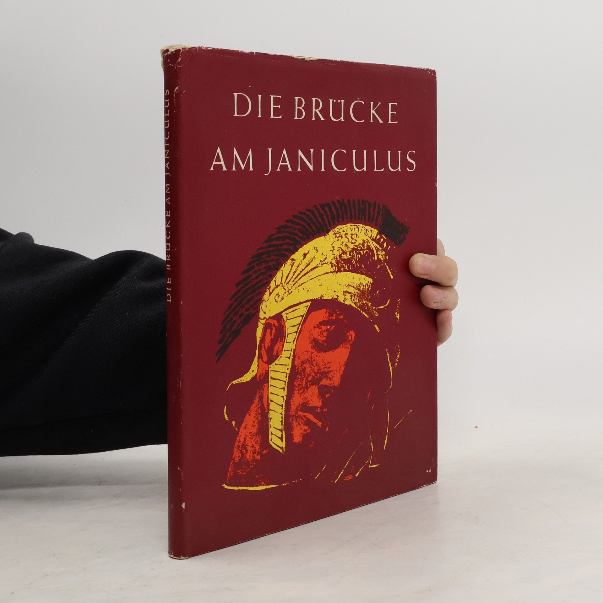 Die Brücke am Janiculus