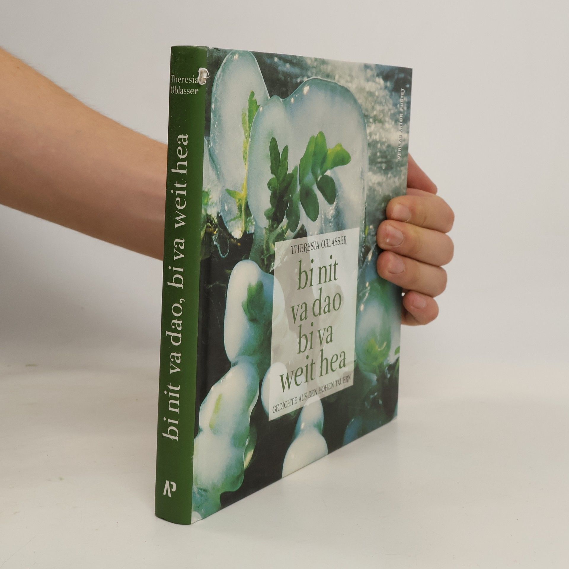 Theresia Oblasser Bin nit va dao, bin va weit hea