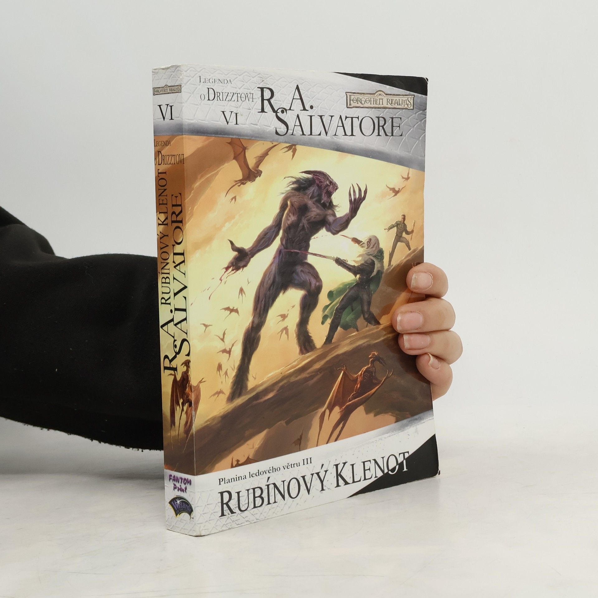 Planina ledového větru III. Rubínový klenot