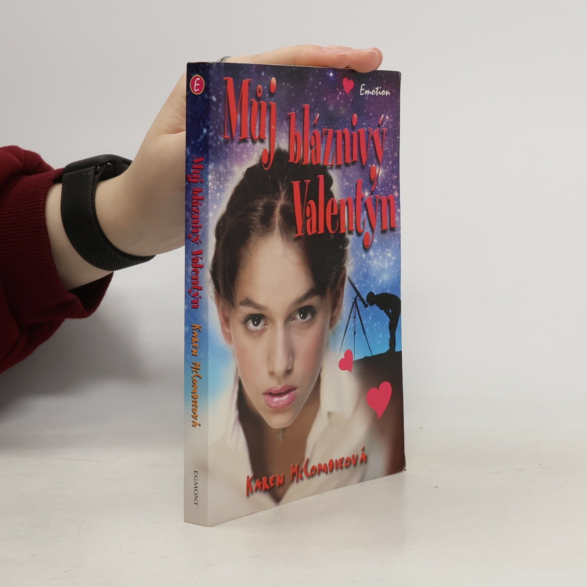 Karen McCombie Můj bláznivý Valentýn