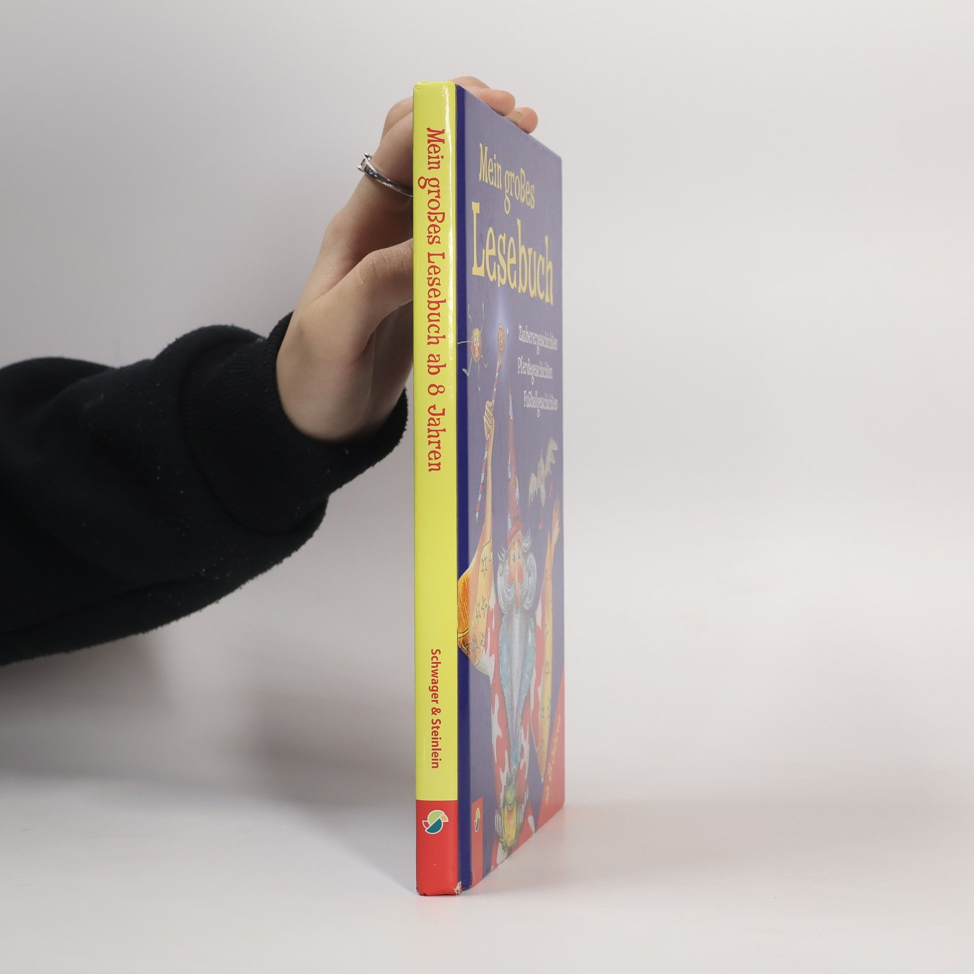 Mein großes Lesebuch