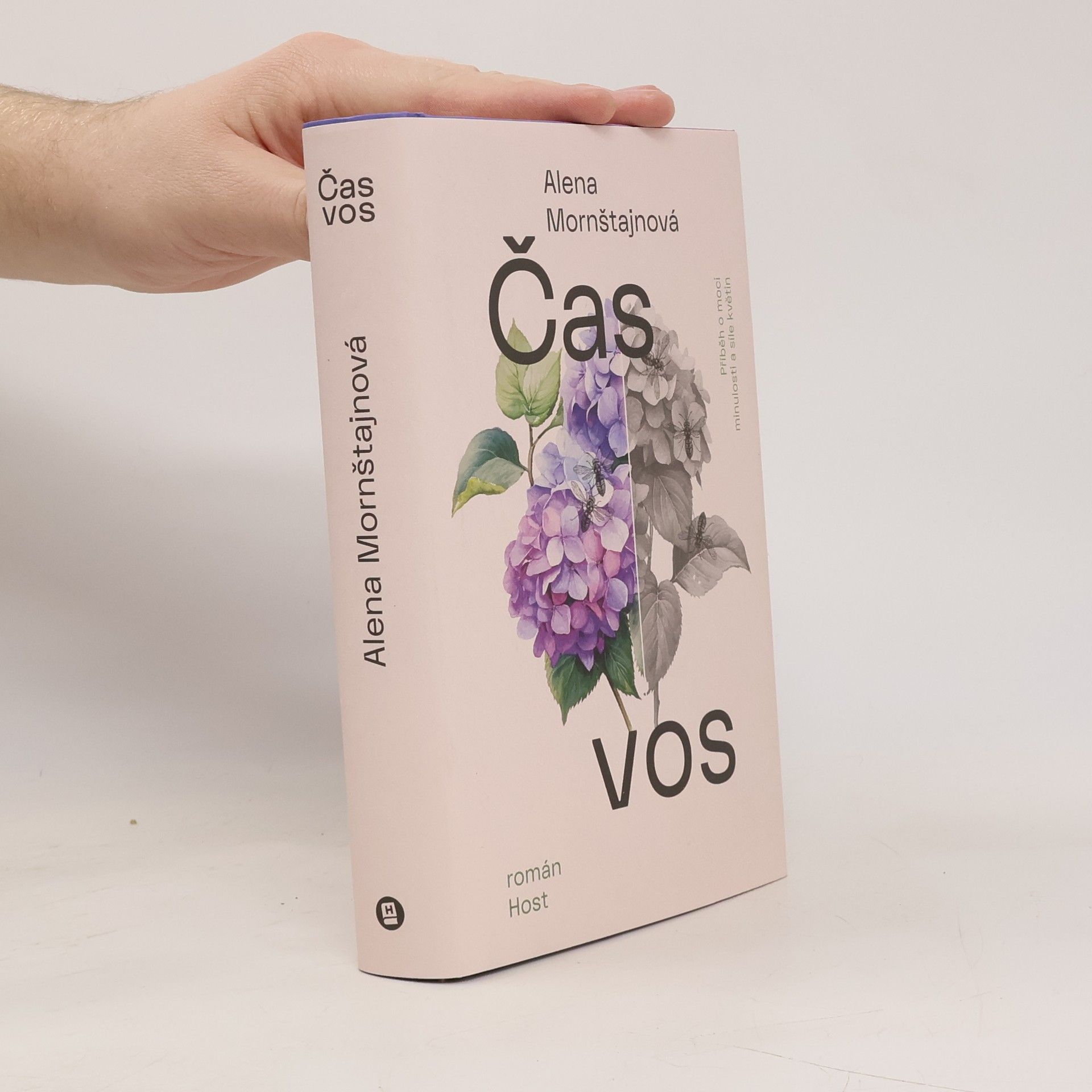 Alena Mornštajnová Čas vos