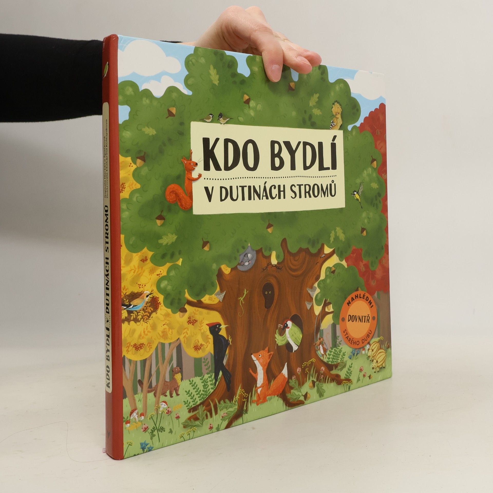 Kdo bydlí v dutinách stromů