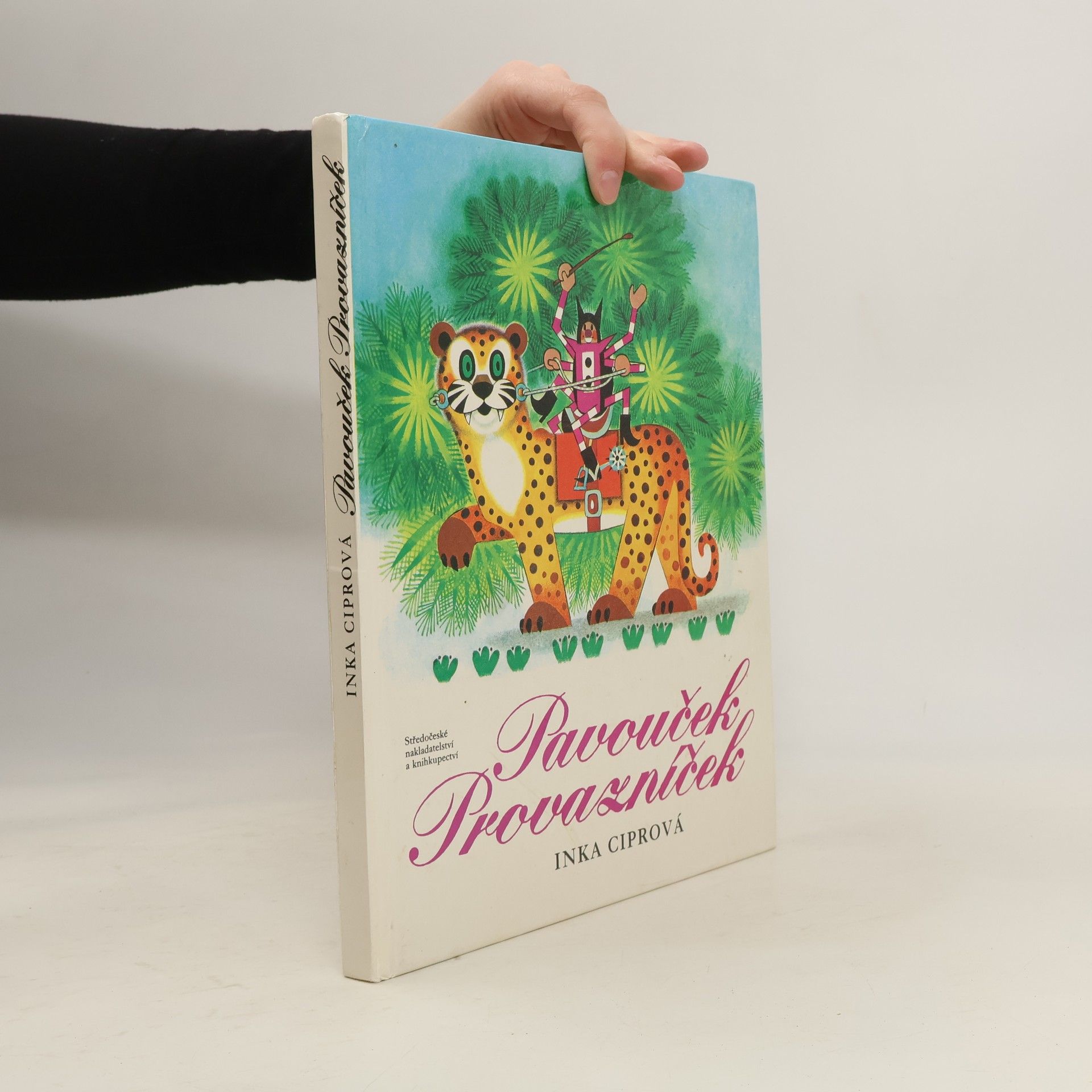 Pavouček Provazníček