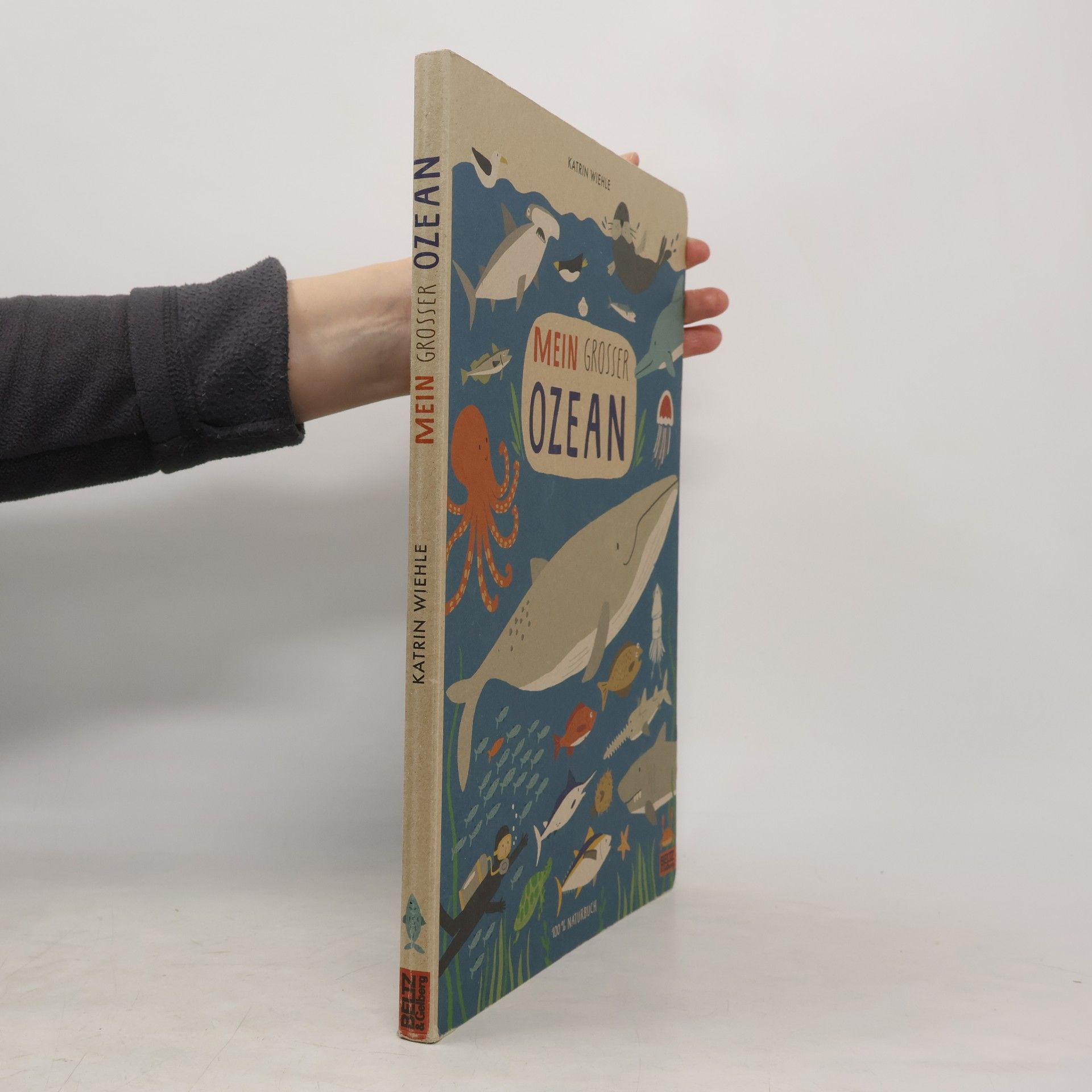 Katrin Wiehle Mein grosser Ozean