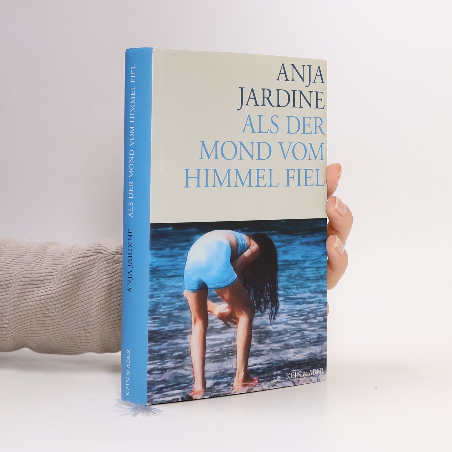 Als der Mond vom Himmel fiel