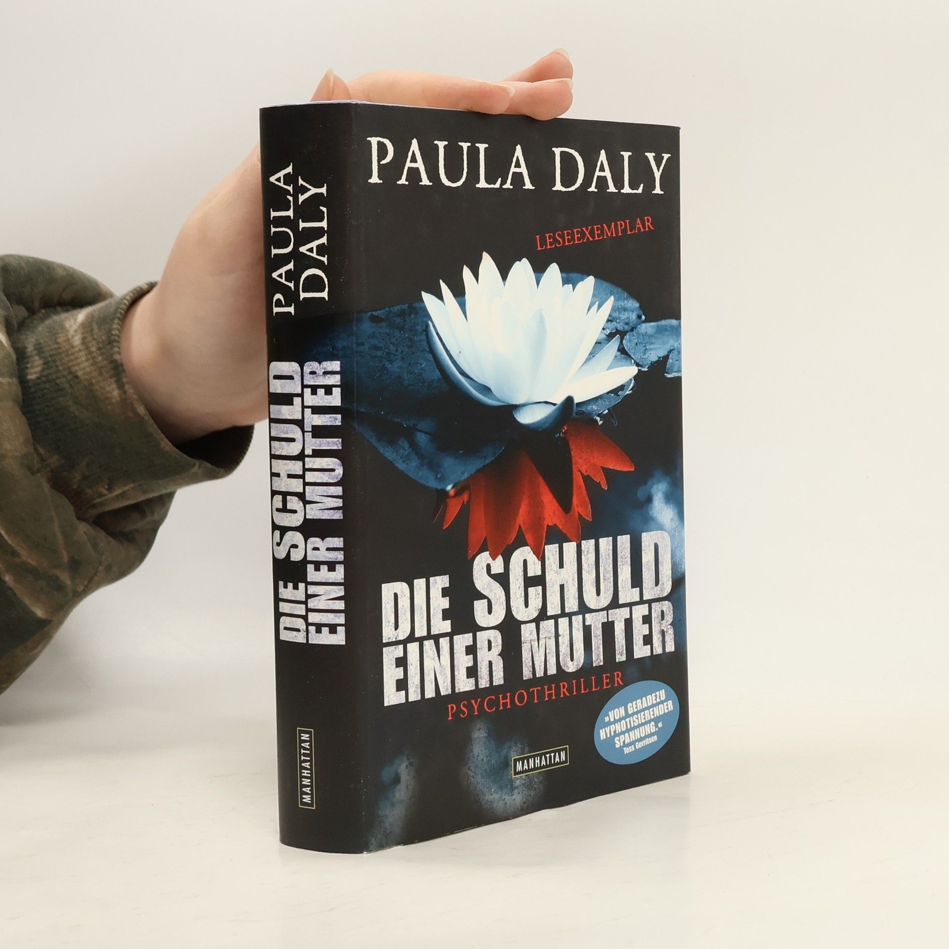 Paula Daly Die Schuld einer Mutter