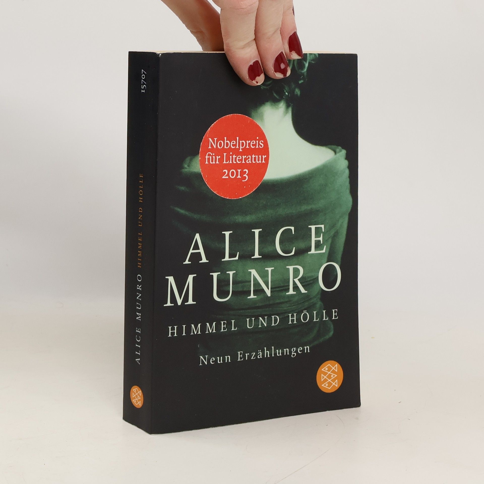 Alice Munro Himmel und Hölle