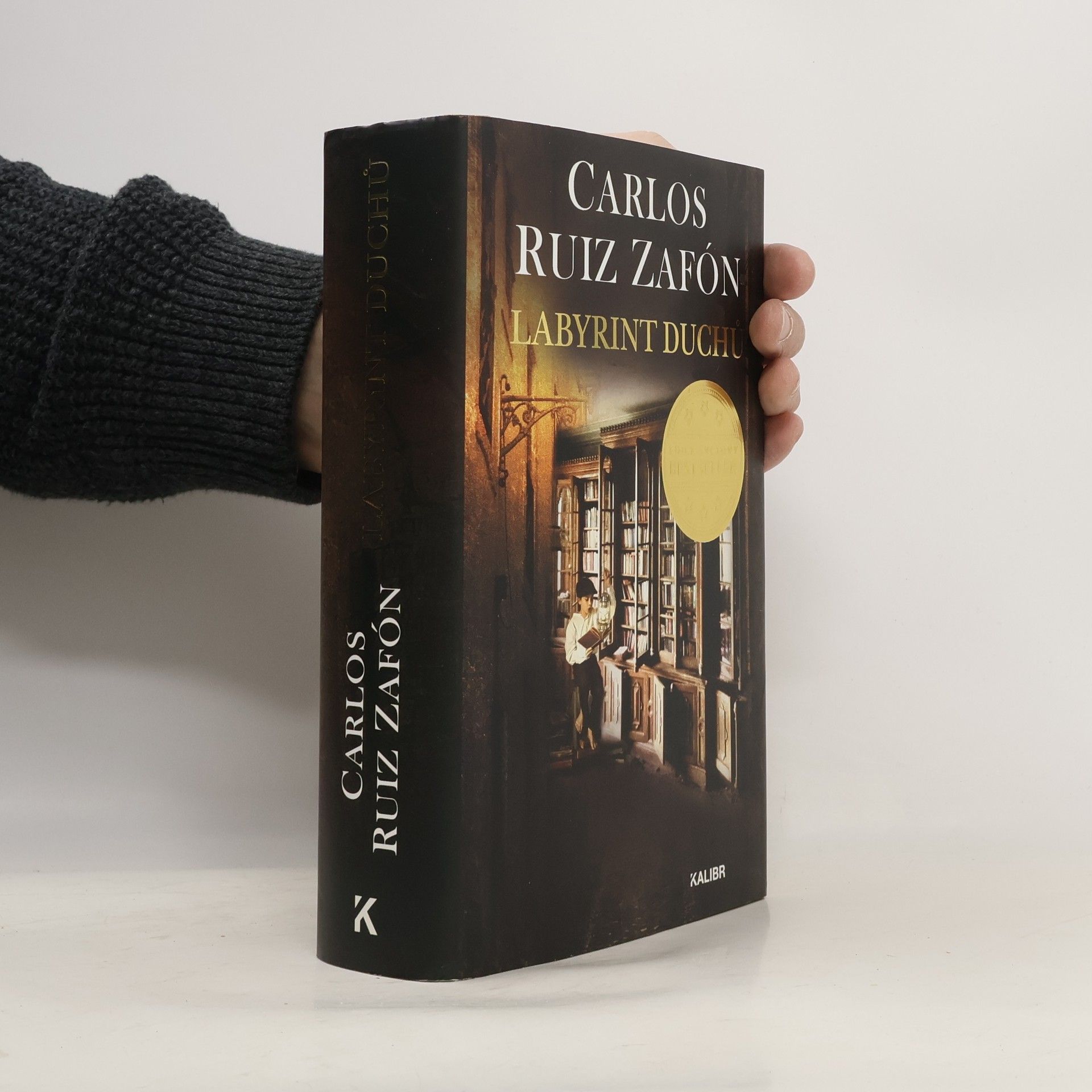 Carlos Ruiz Zafón Labyrint duchů