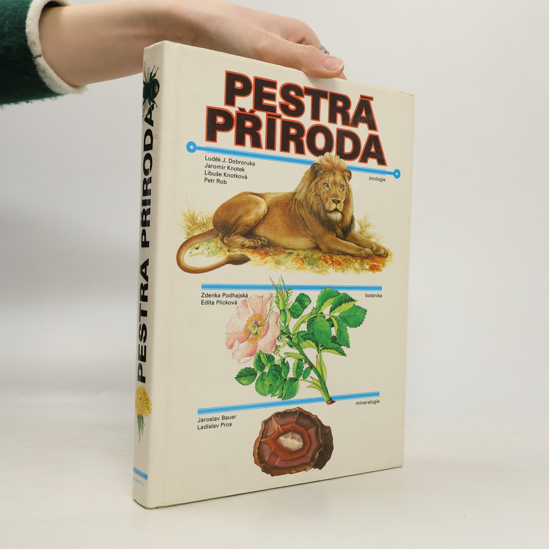 Autorenkollektiv Pestrá příroda