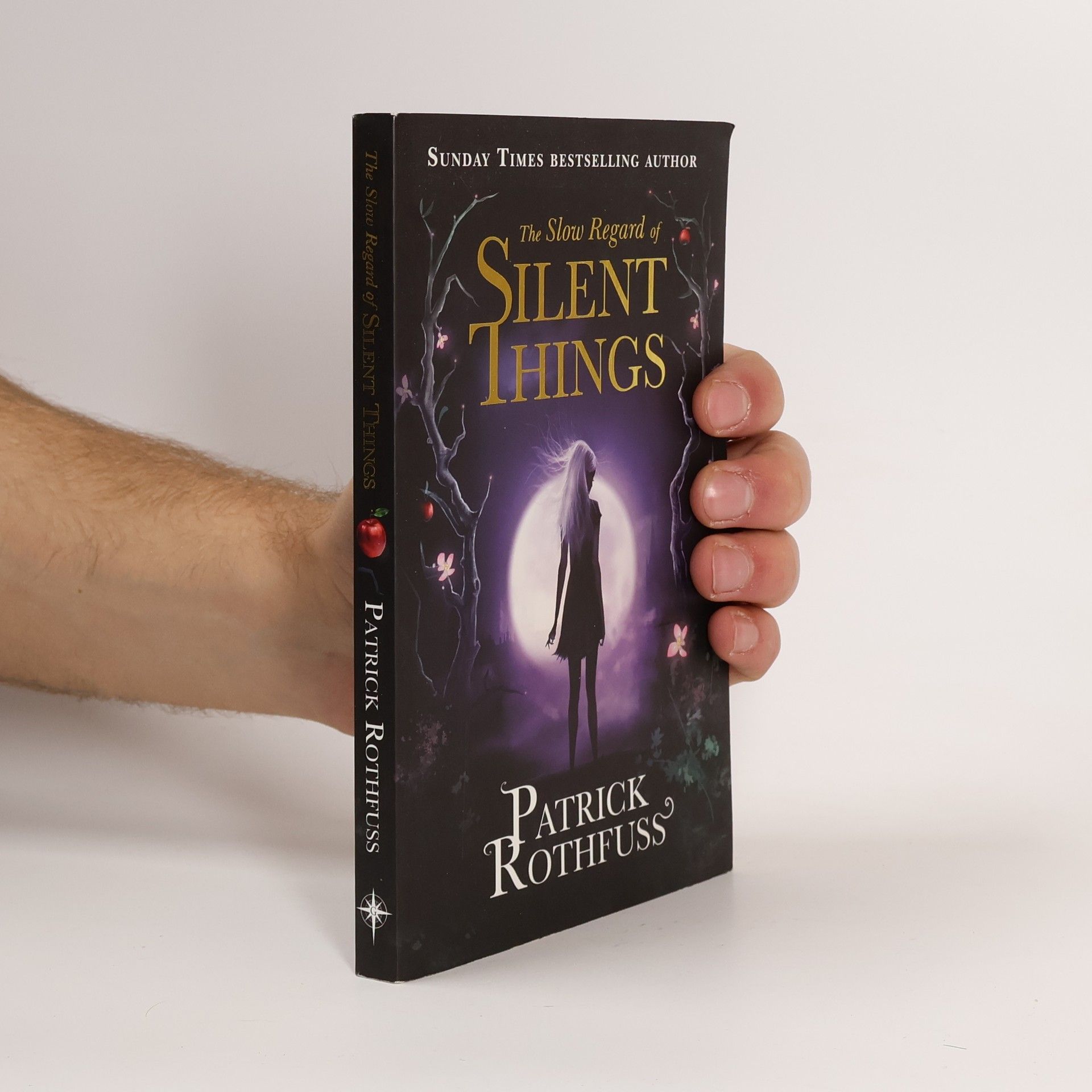 Patrick Rothfuss The Slow Regard of Silent Things
