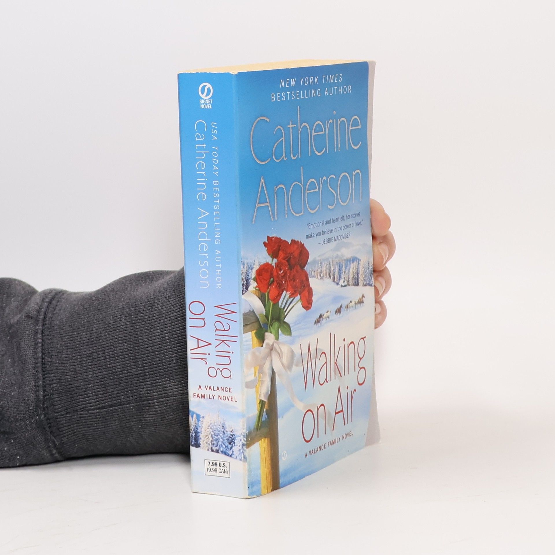 Catherine Anderson Walking On Air