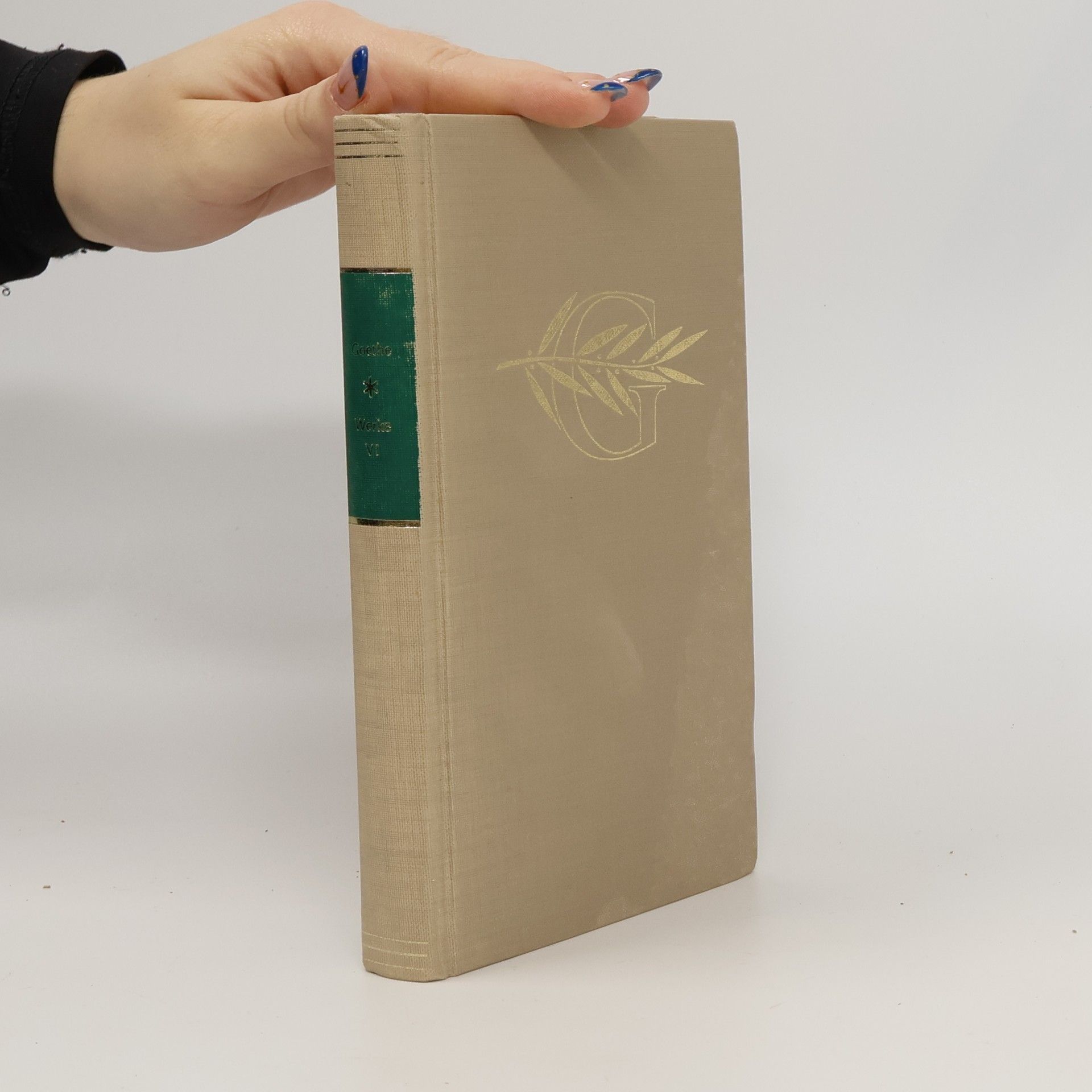 Johann Wolfgang von Goethe Goethes Werke VI