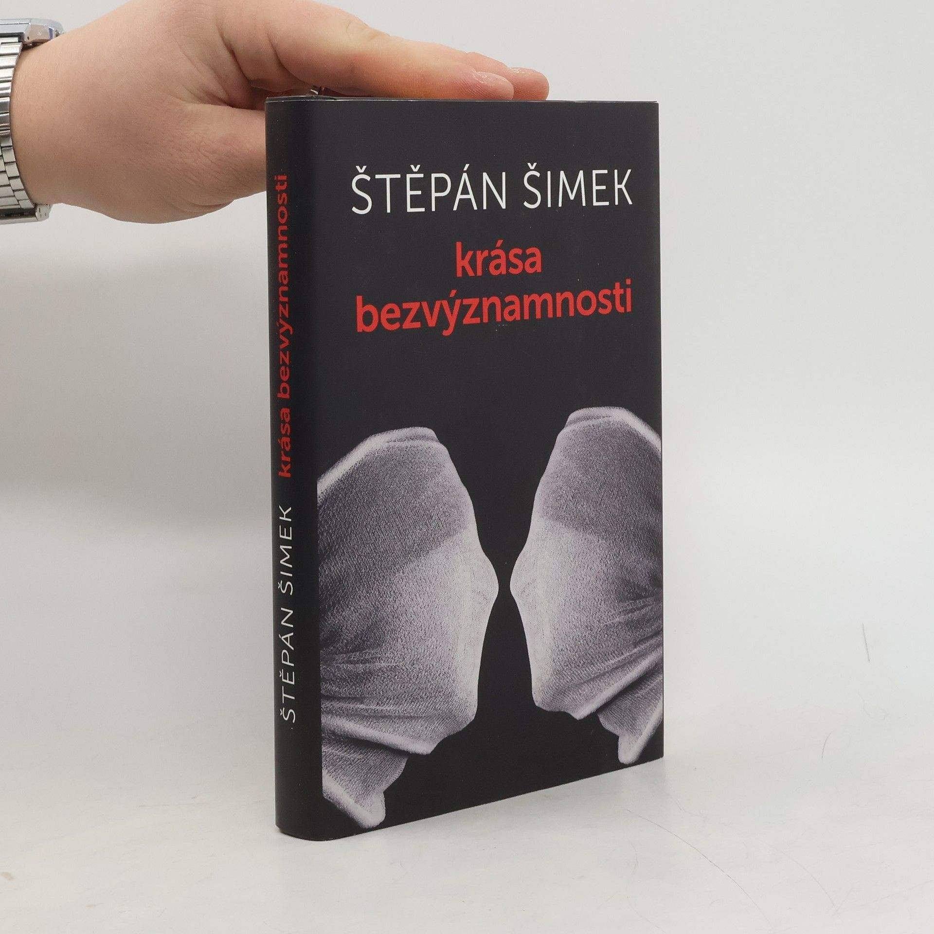 Štěpán Šimek Krása bezvýznamnosti