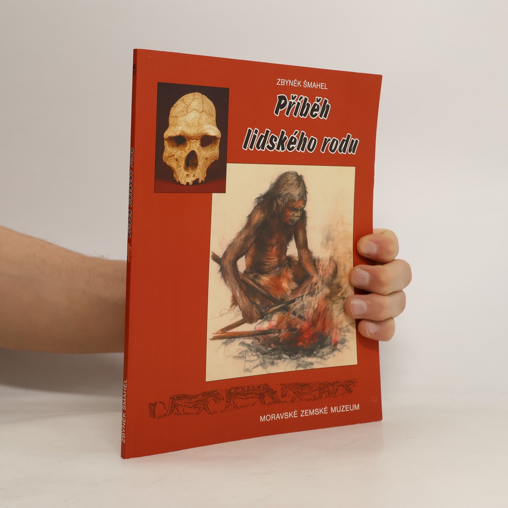 Příběh lidského rodu