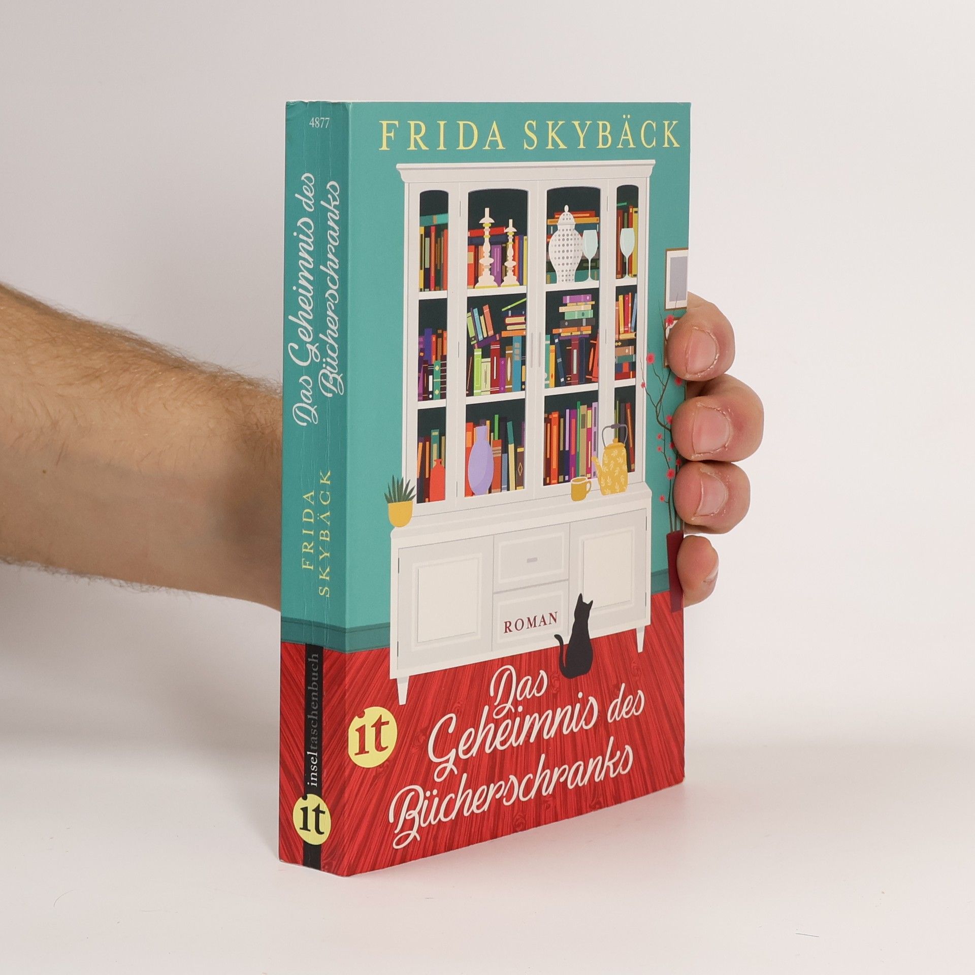 Frida Skybäck Das Geheimnis des Bücherschranks