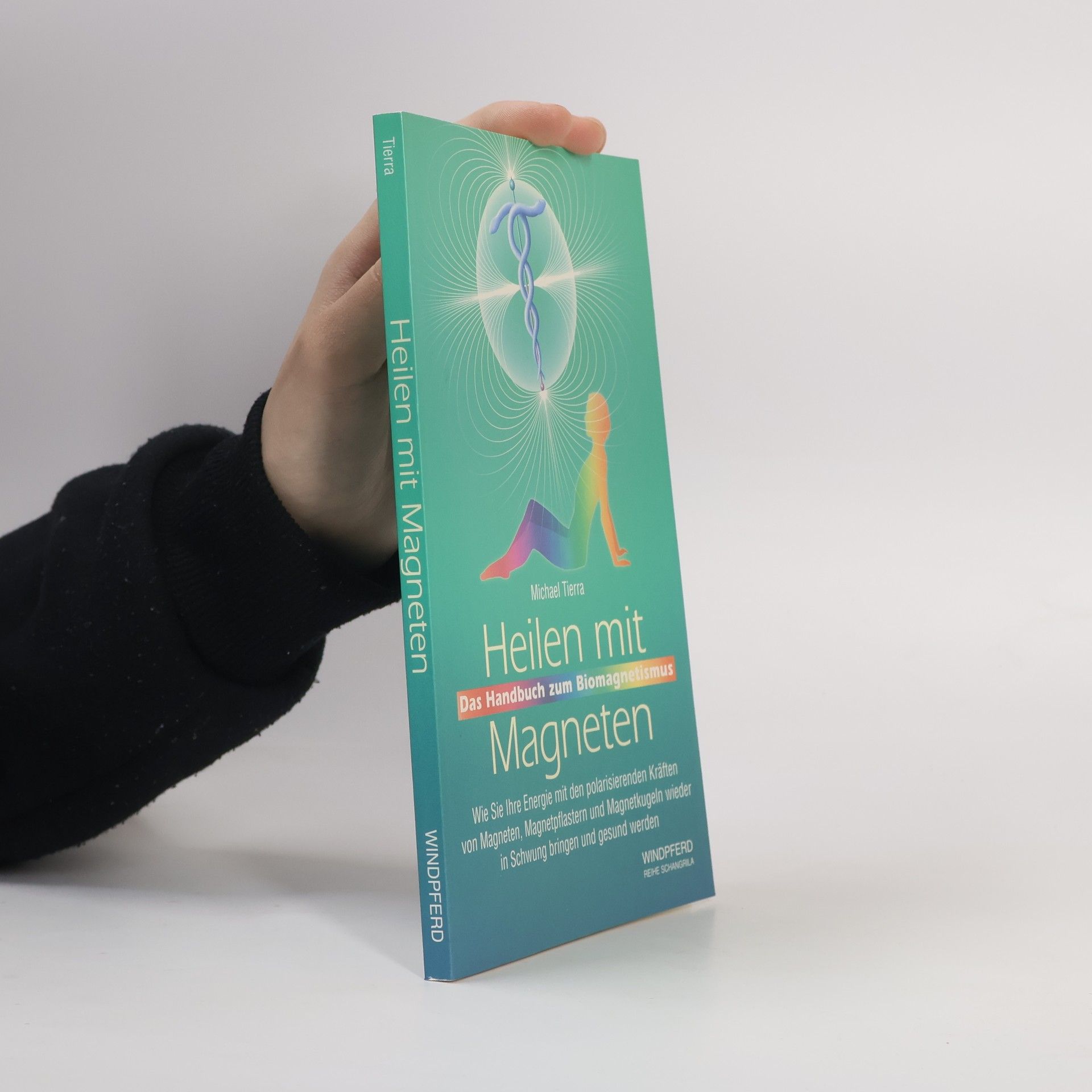 Heilen mit Magneten: Das Handbuch zum Biomagnetismus