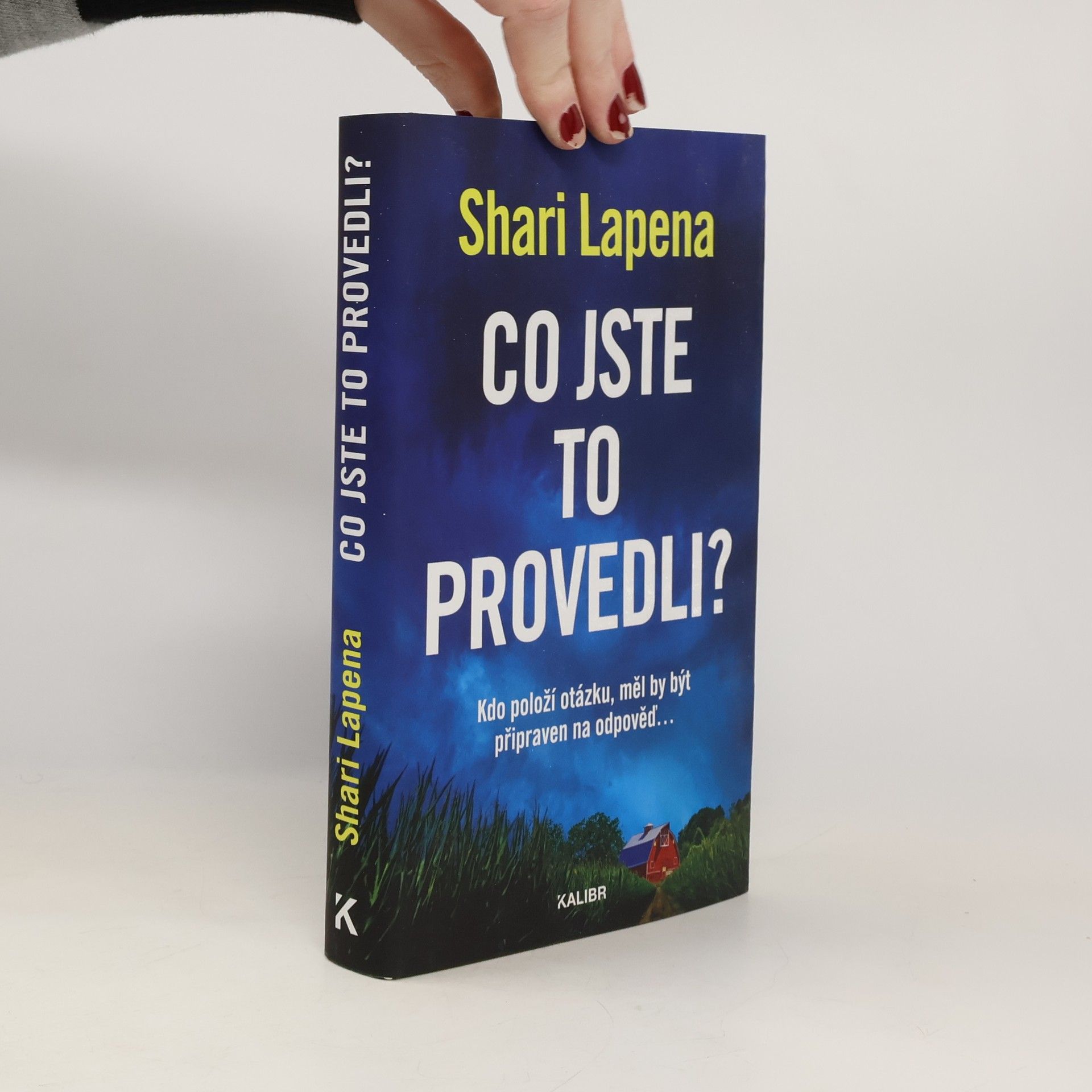 Shari Lapena Co jste to provedli?