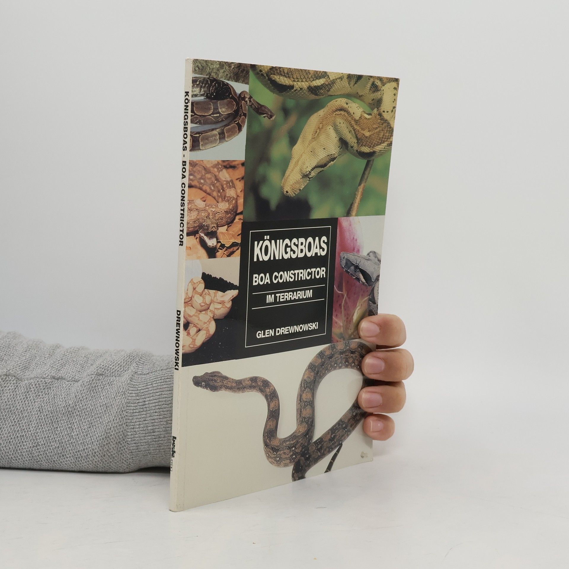 Glen Drewnowski Königsboas. Boa Constrictor
